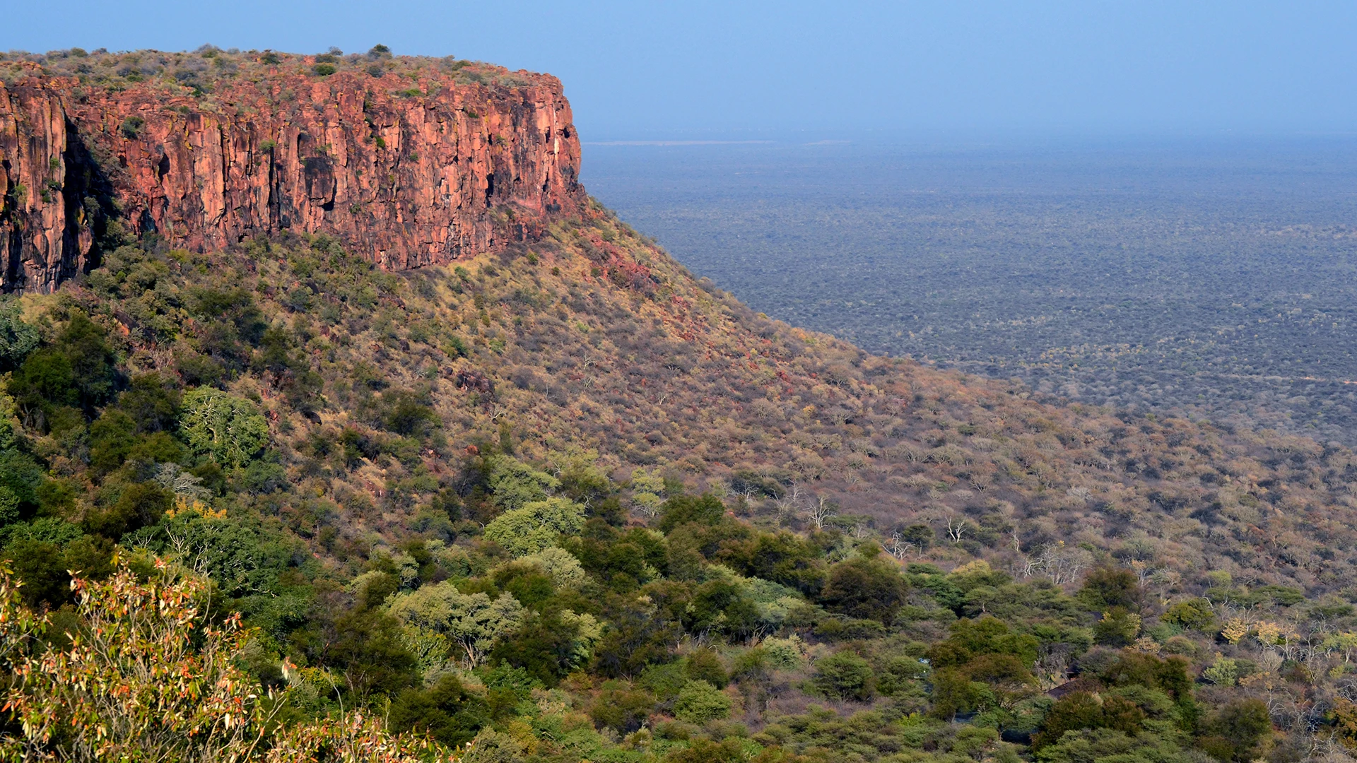 Madikwe & The Waterberg 
