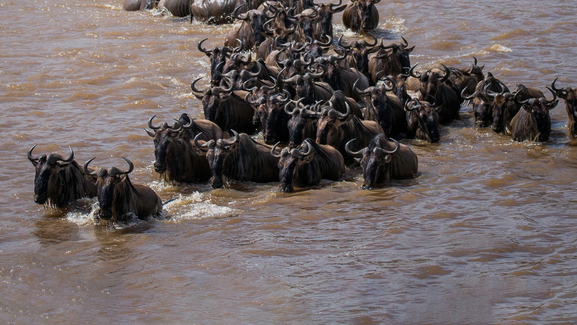 Liuwa Plain National Park 