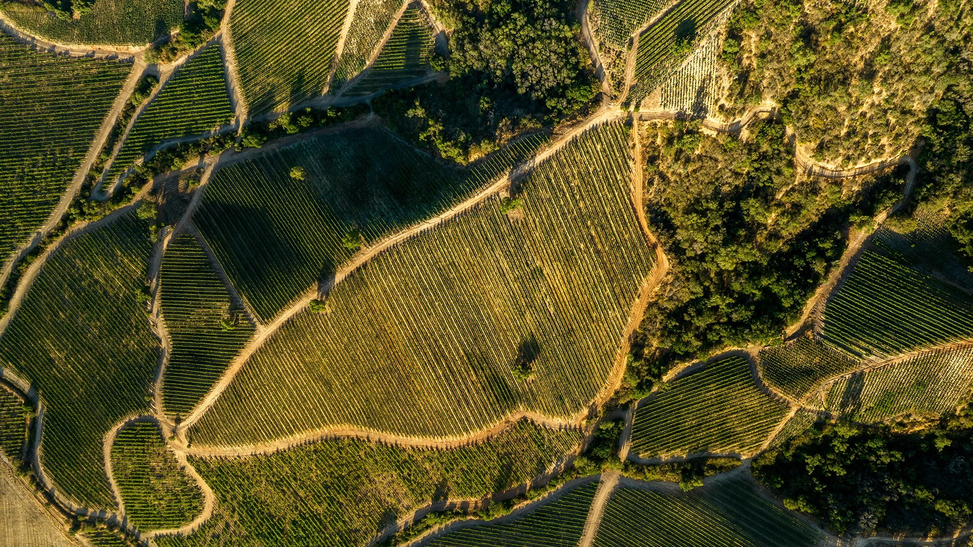 The Wine Valleys