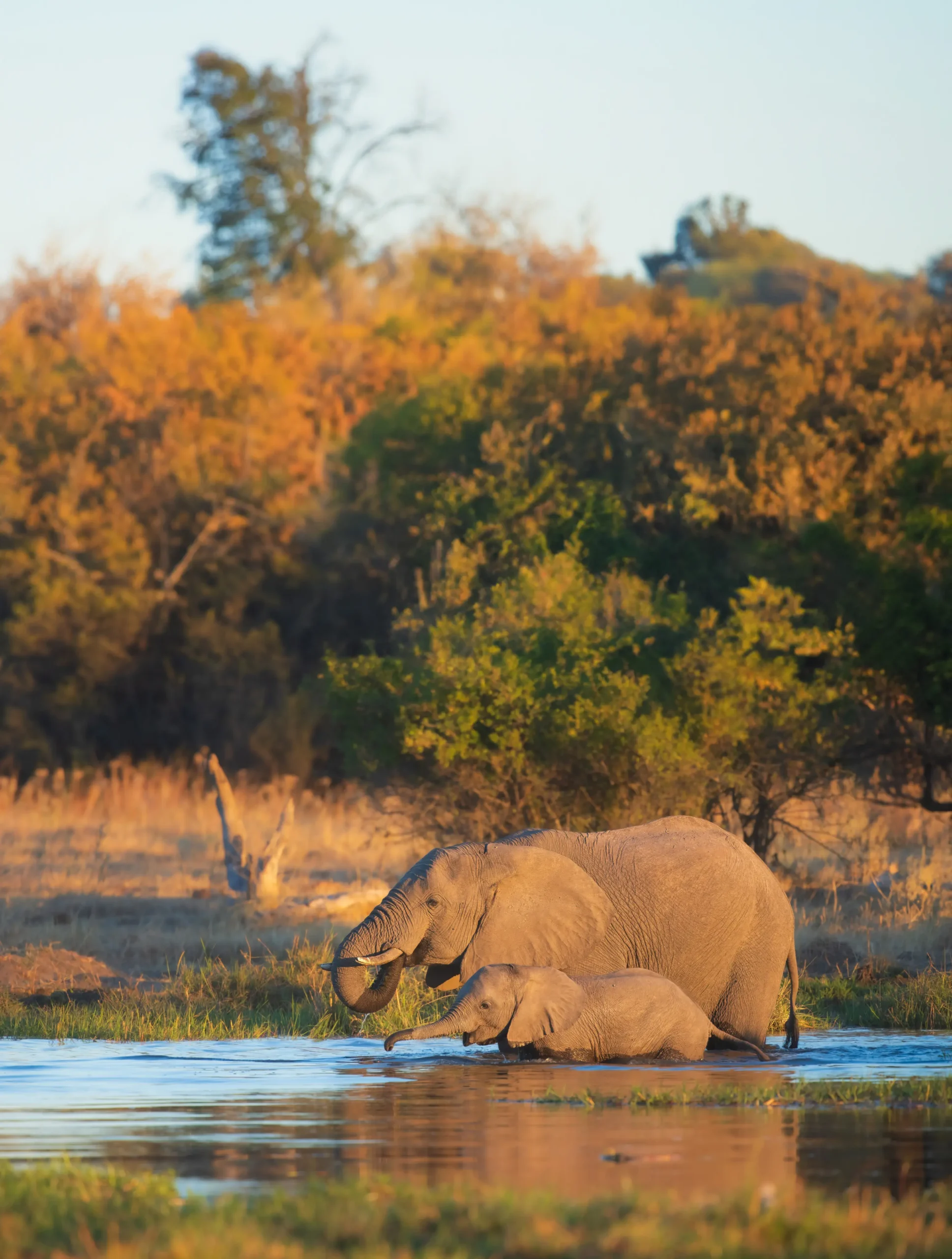Africa