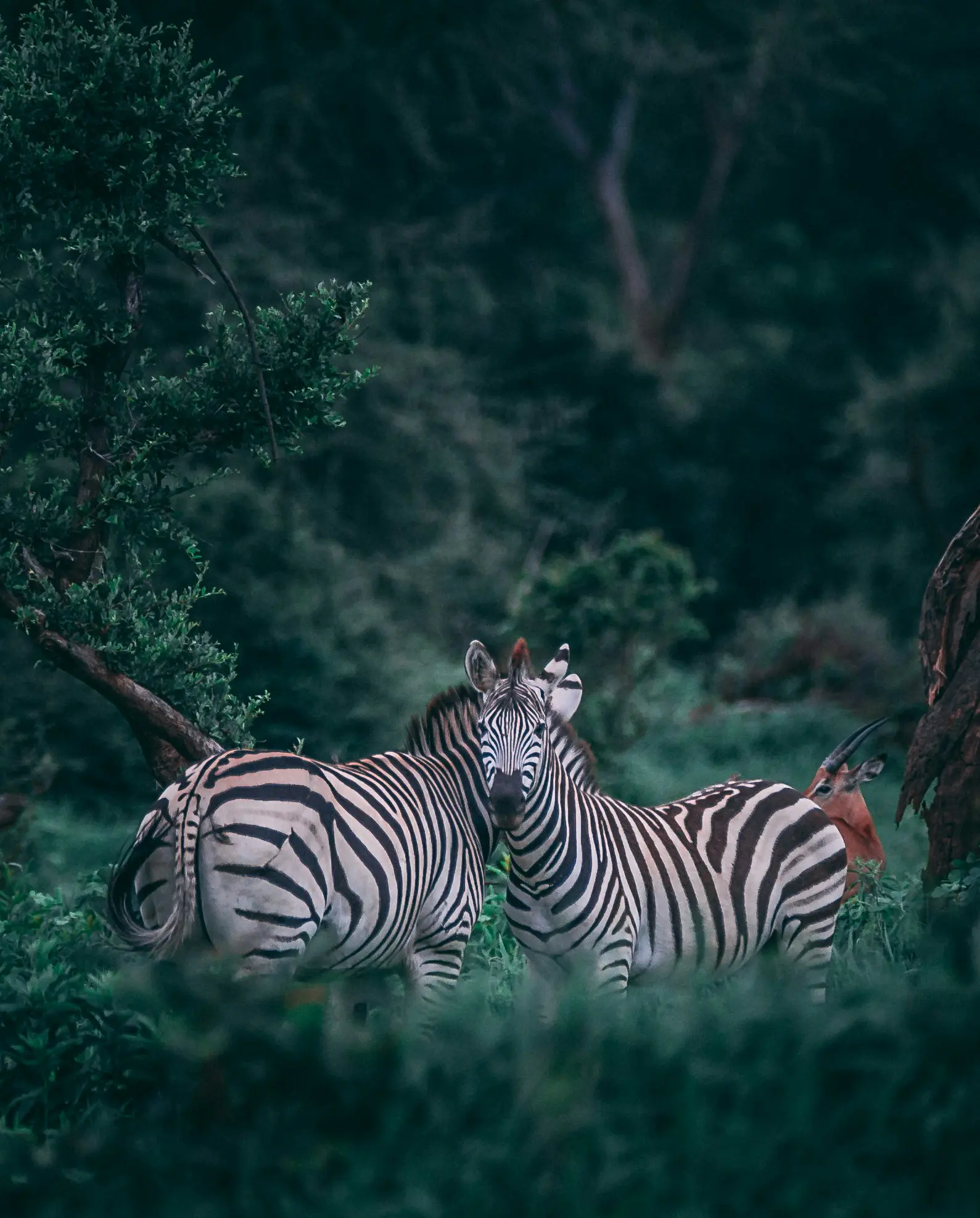 Botswana
