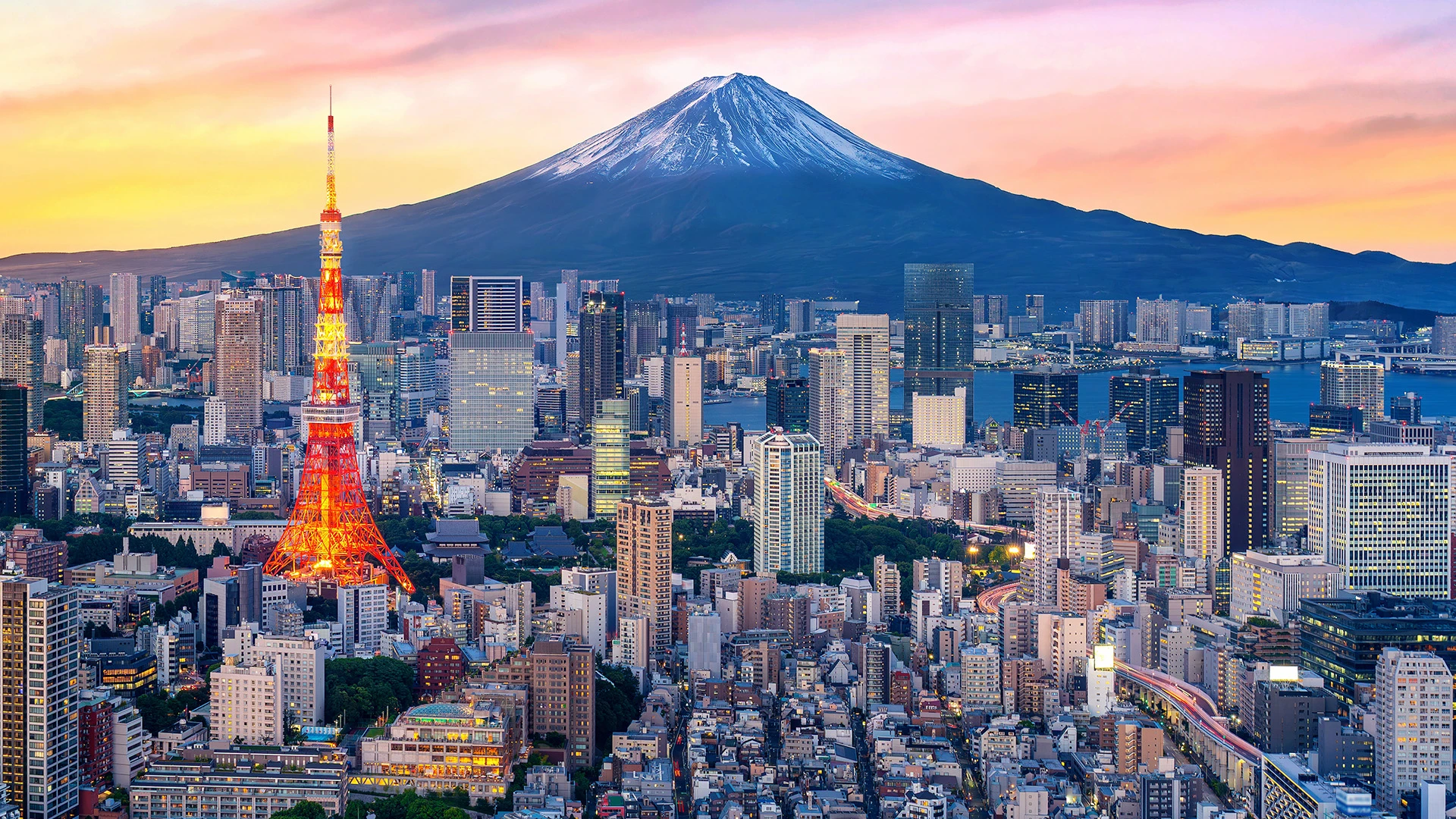 Aerial view Tokyo Japan