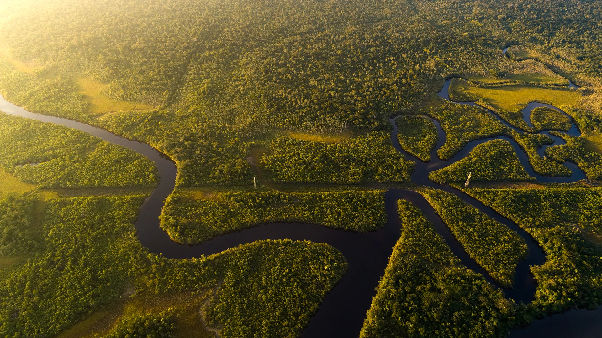 Amazon River