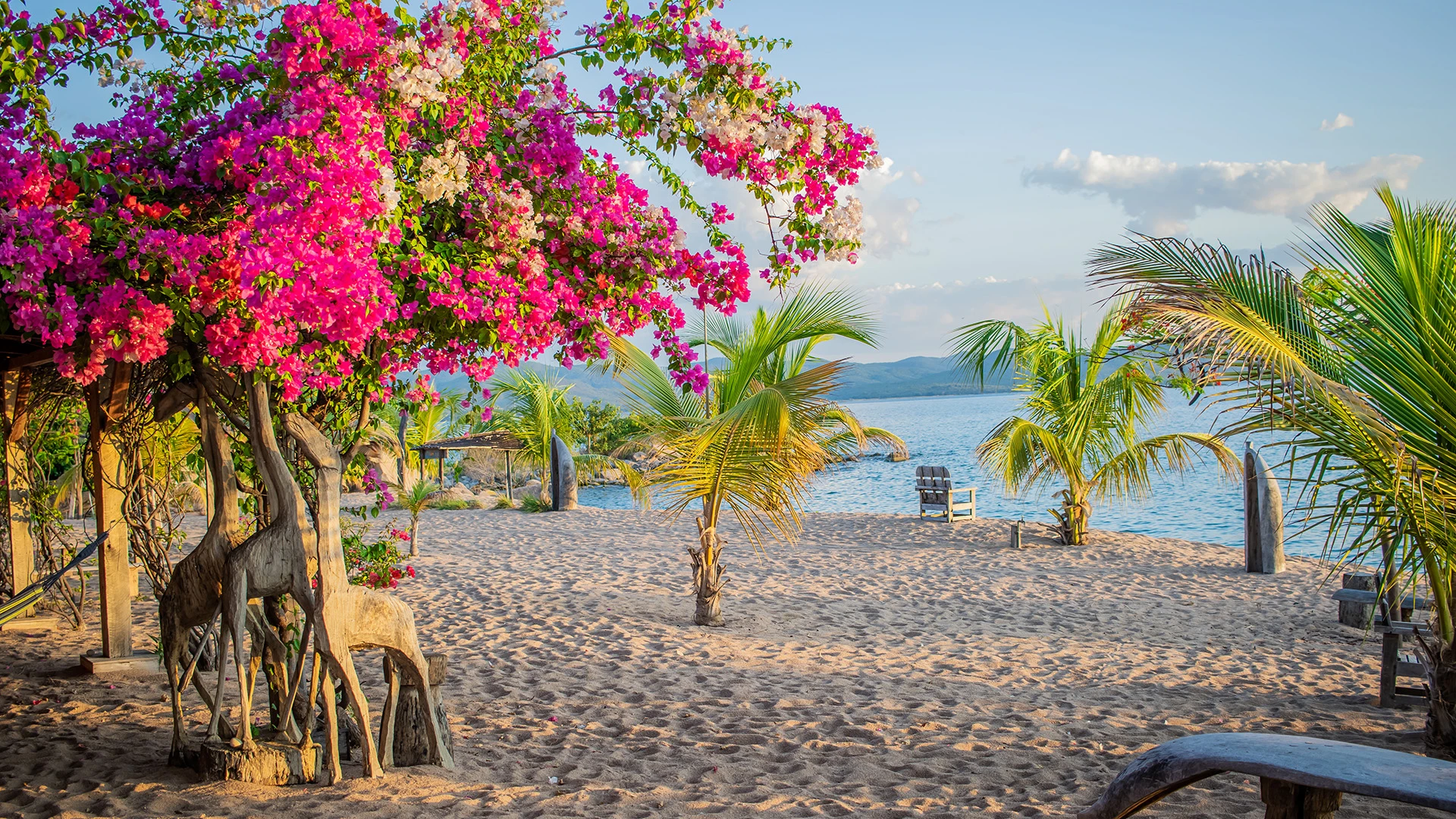 Beach Pure Likoma Malawi