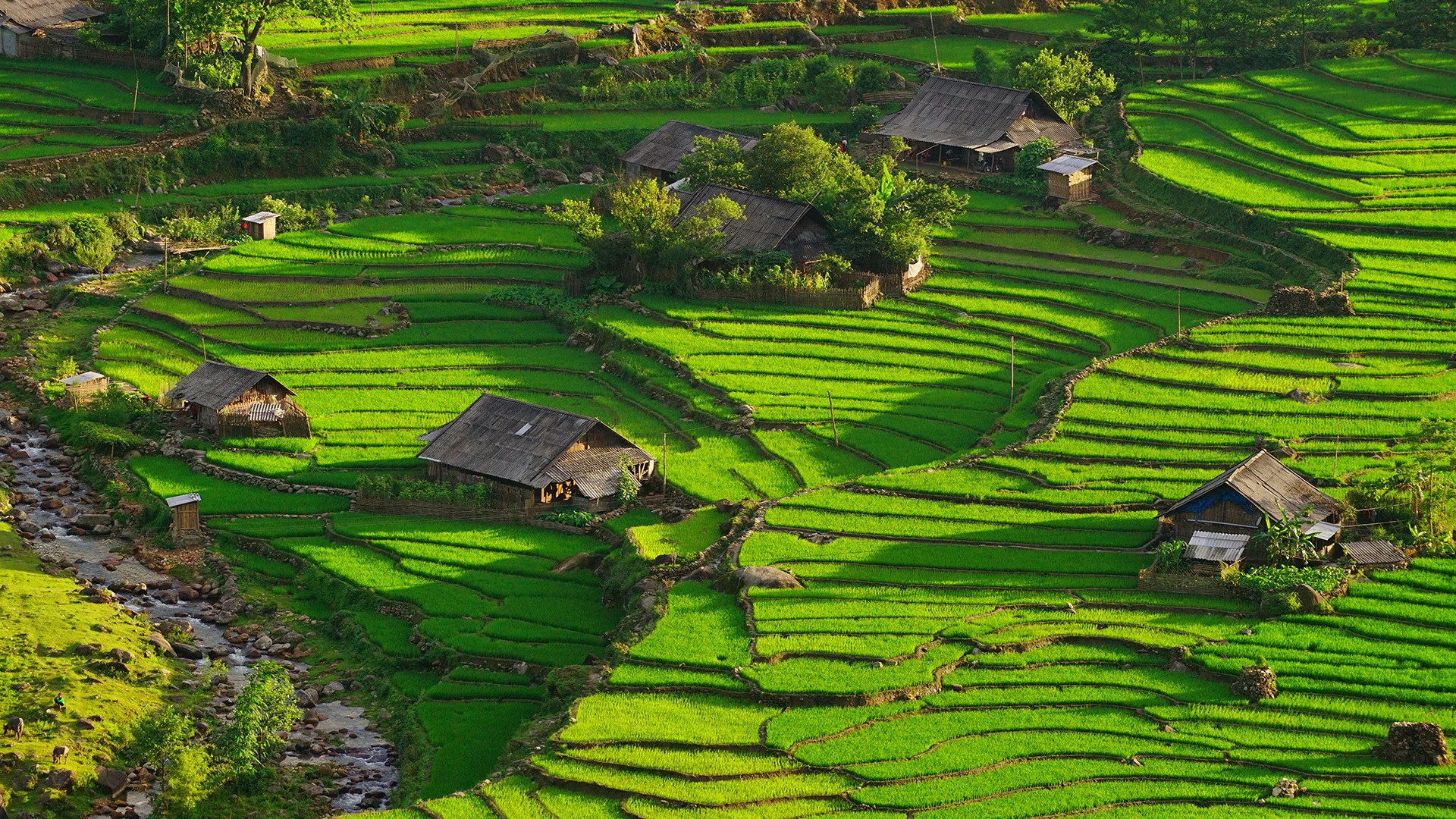 Cai Be Vietnam