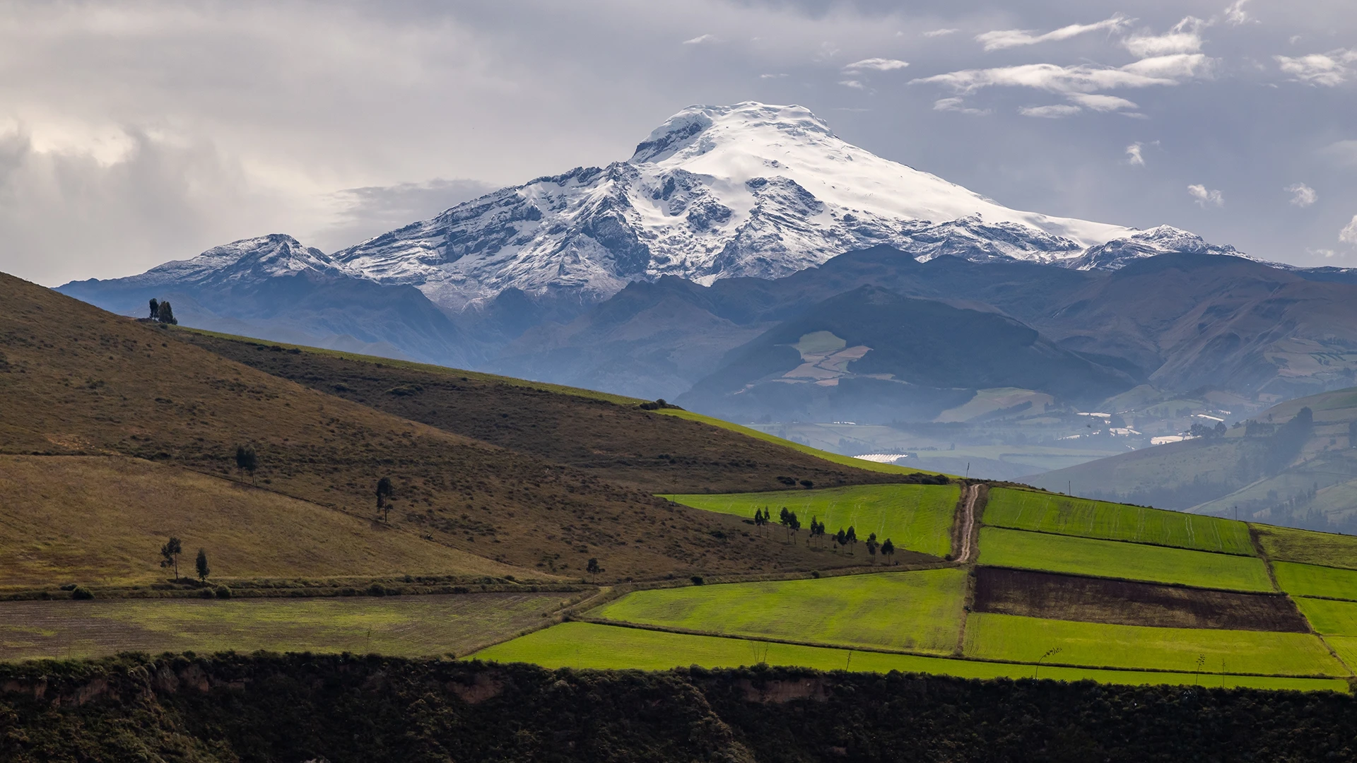Ecuadorian Hacienda and Wildlife Adventure