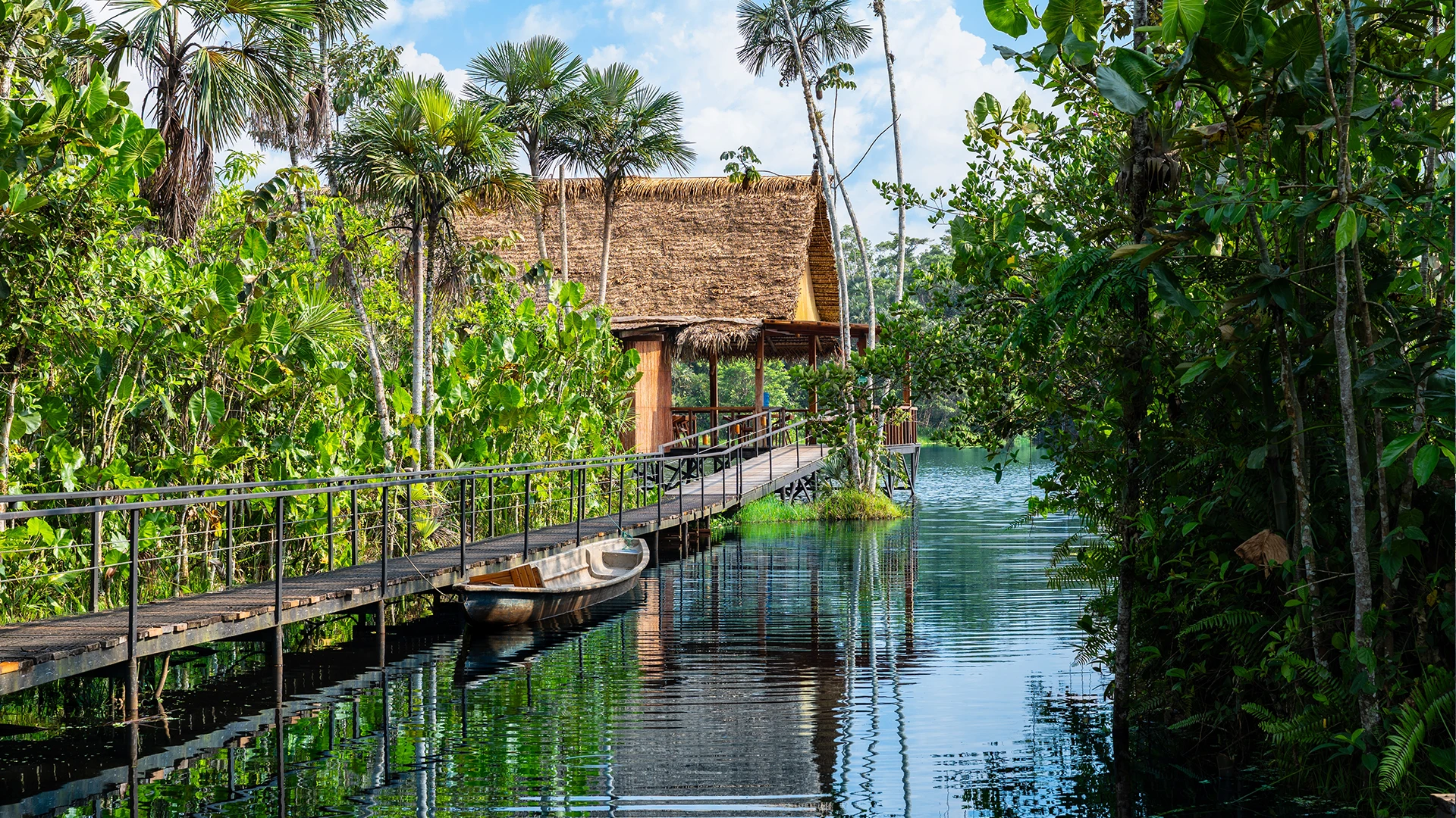Ecuadorian Amazon Rainforest