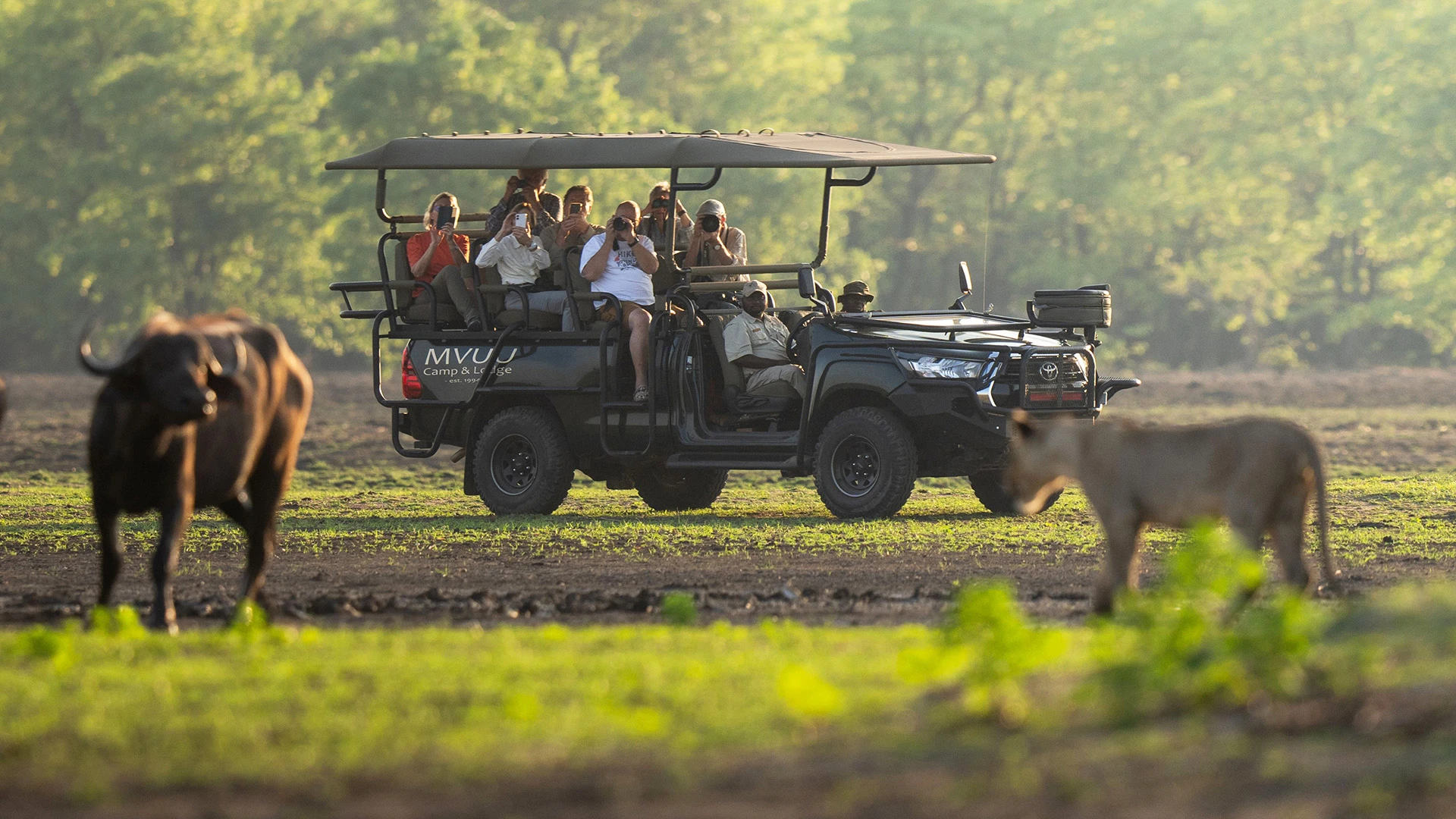 Jeep Liwonde National Park Malawi