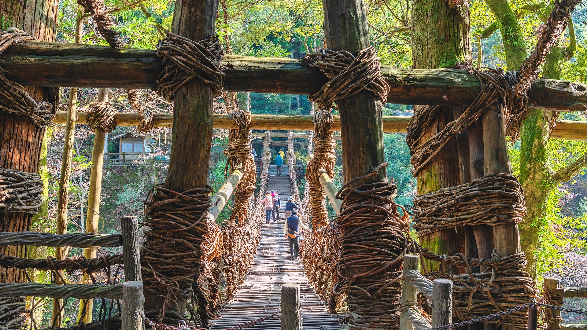 Japan Off-the-Beaten-Path: Shikoku’s Temples and Trails