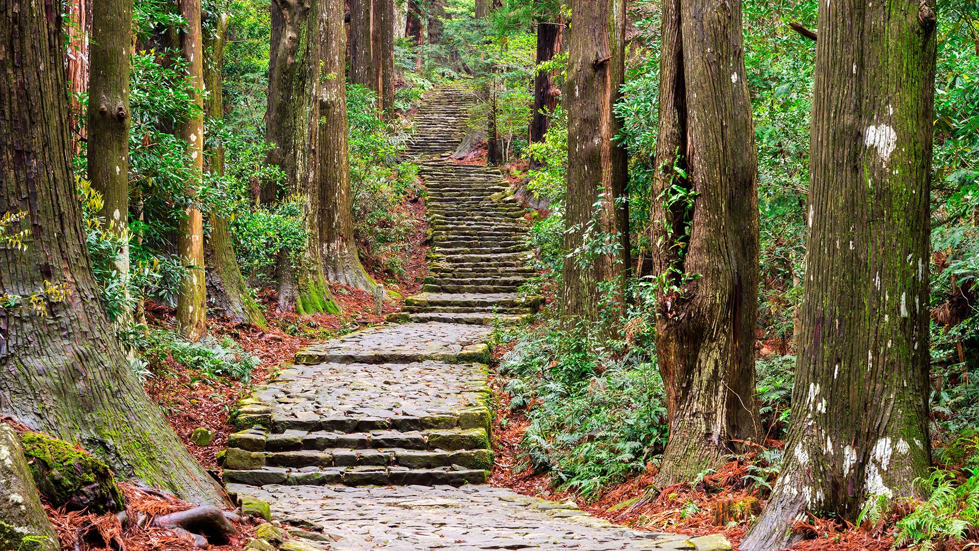 The Ancient Pilgrimage of Japan: Osaka to Kumano