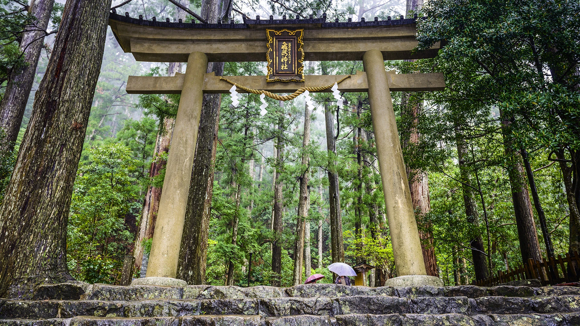 Kumano Kodo Sacred Trail Japan