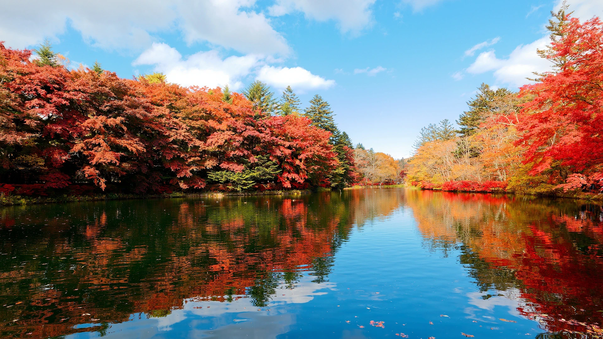 Kumoba Pond Karuizawa Japan