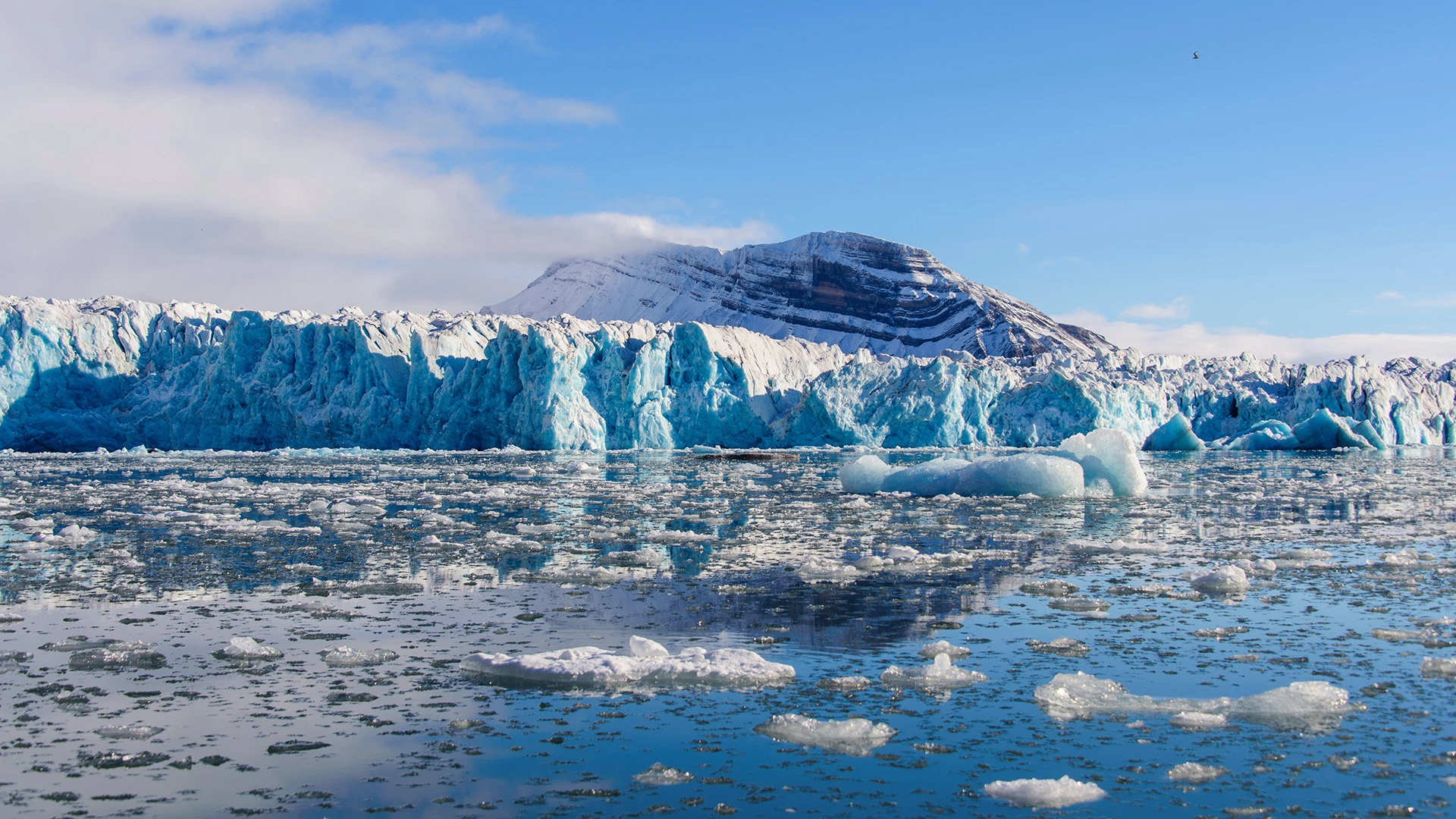 Edge of Ice: Iceland to Spitsbergen Expedition