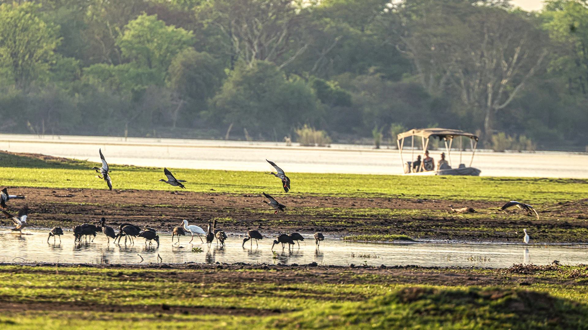 Landscape Liwonde National Park Malawi