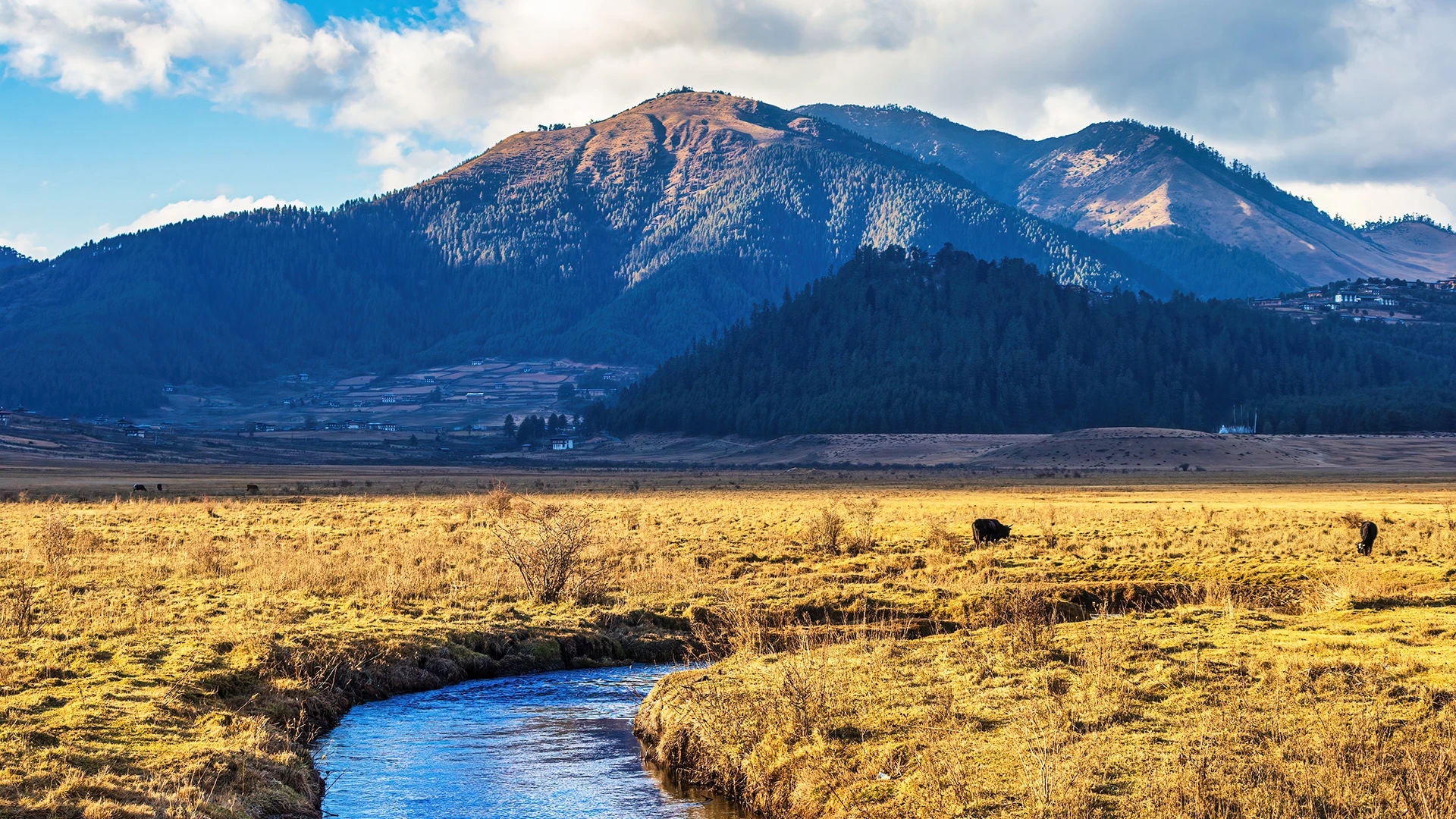 Landscape Phobjikha Valley Bhutan