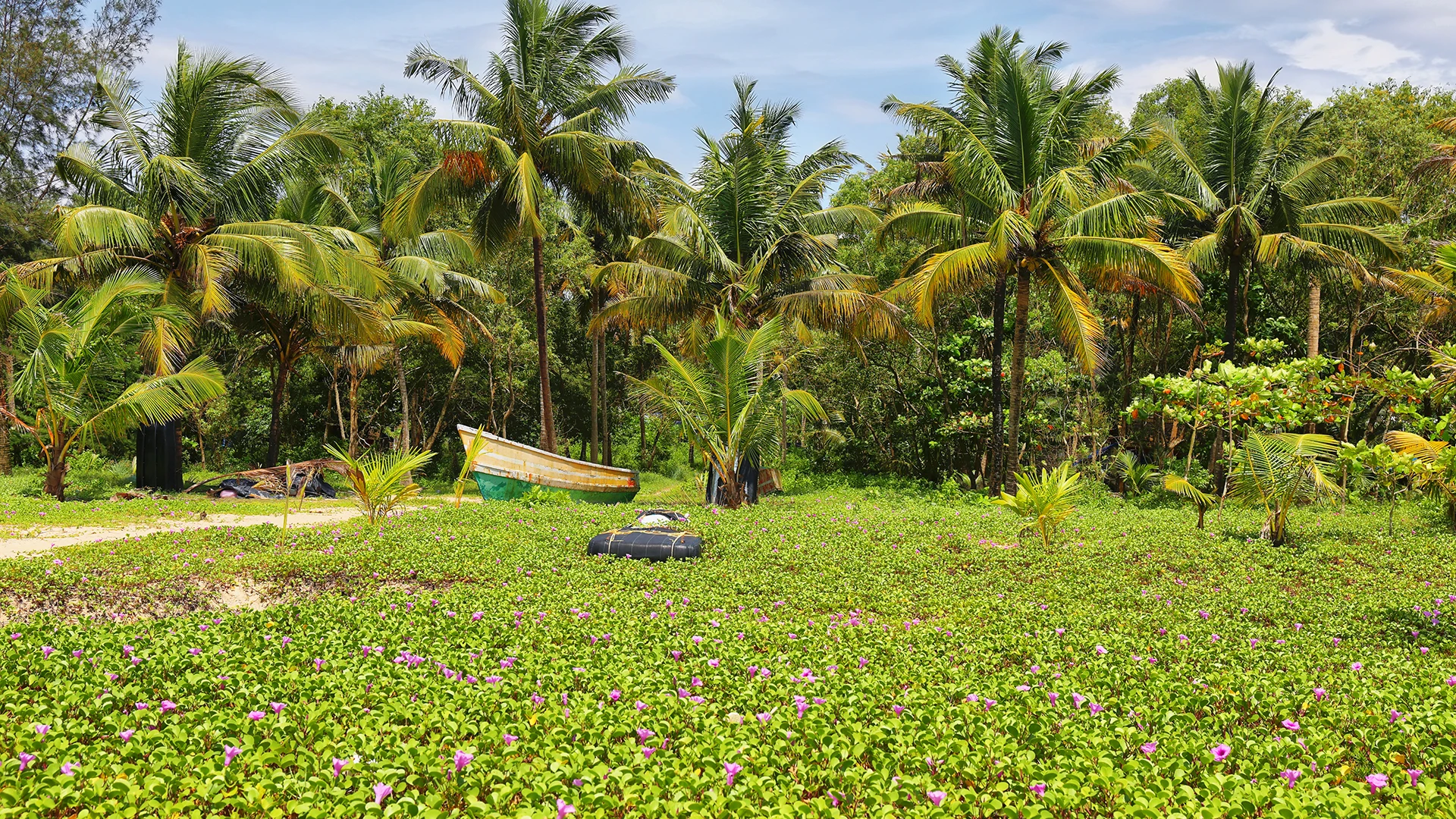 Mararikulam Kerala South India