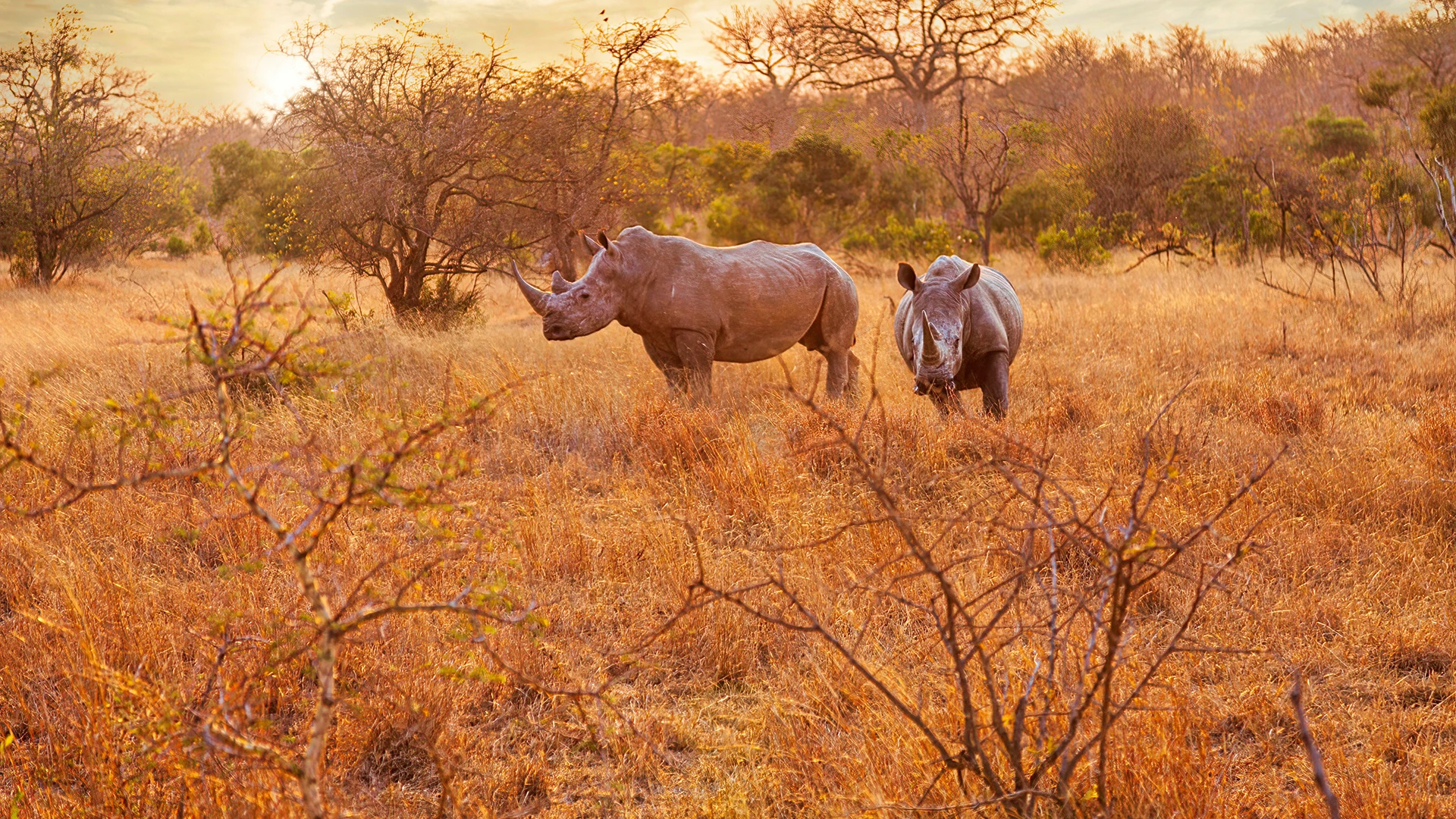 Matobo Hills