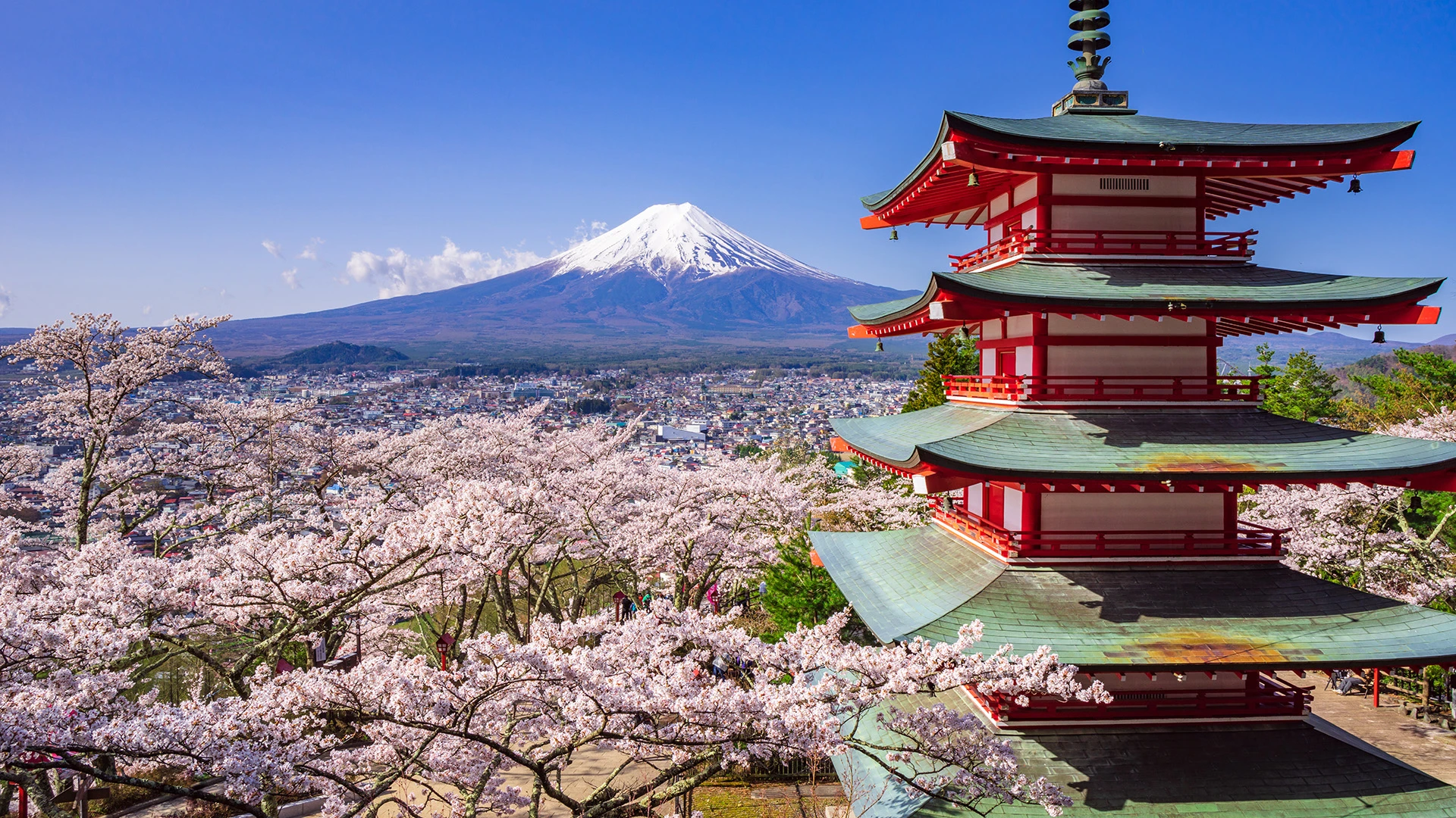 Classic Japan Journey: Tokyo, Hakone and Mount Fuji