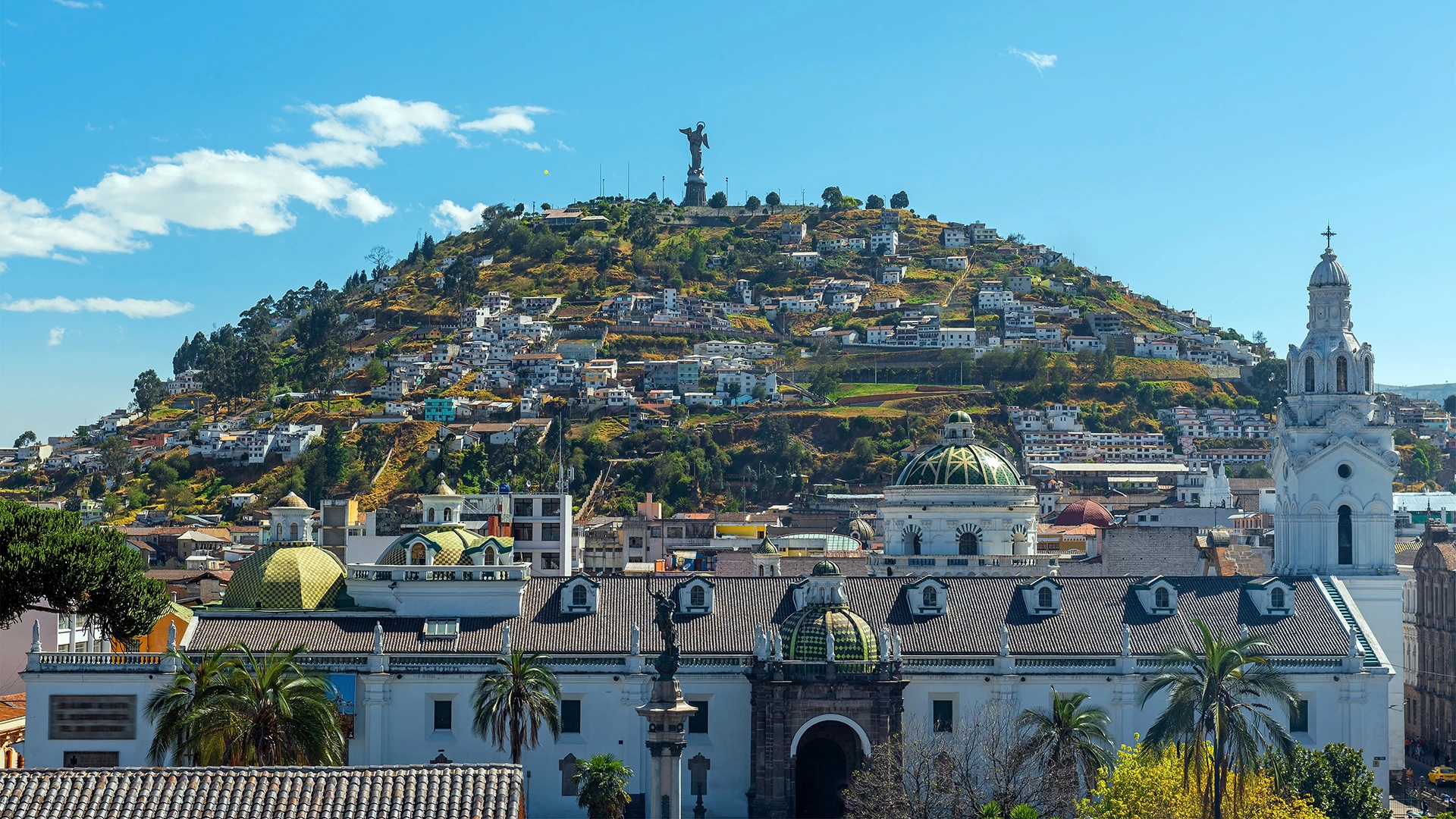The Best of Ecuador and the Galapagos