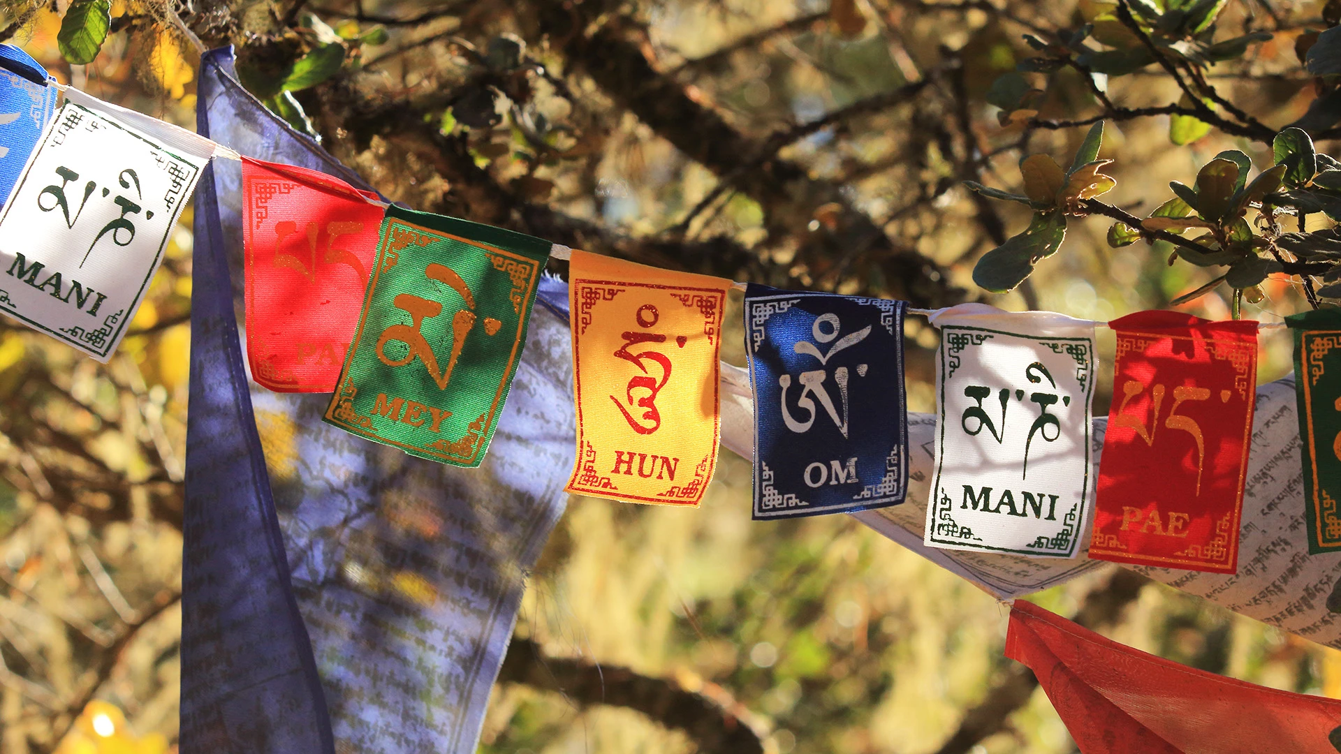 Tibetan Buddhist Flags en route to Tiger's Nest Monastery Paro Bhutan