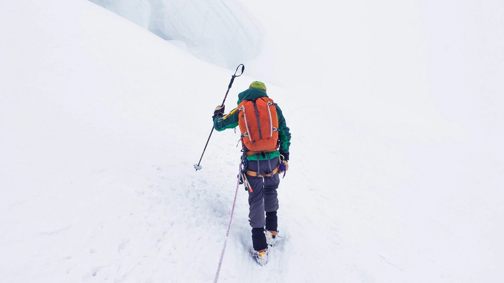 Trekking Antarctica