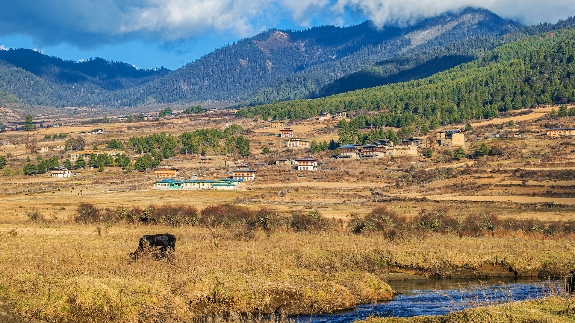 Village Phobjikha Valley Bhutan