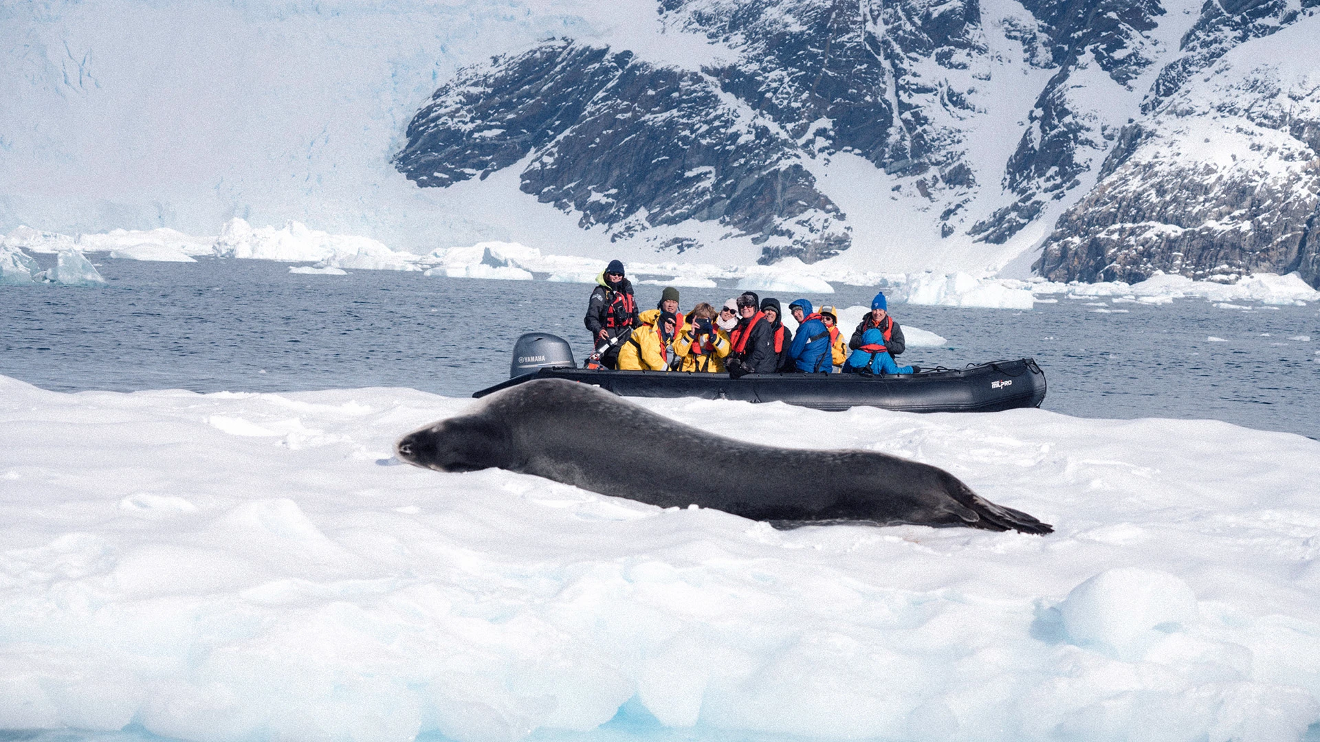 Zodiac Excursion Antarctica