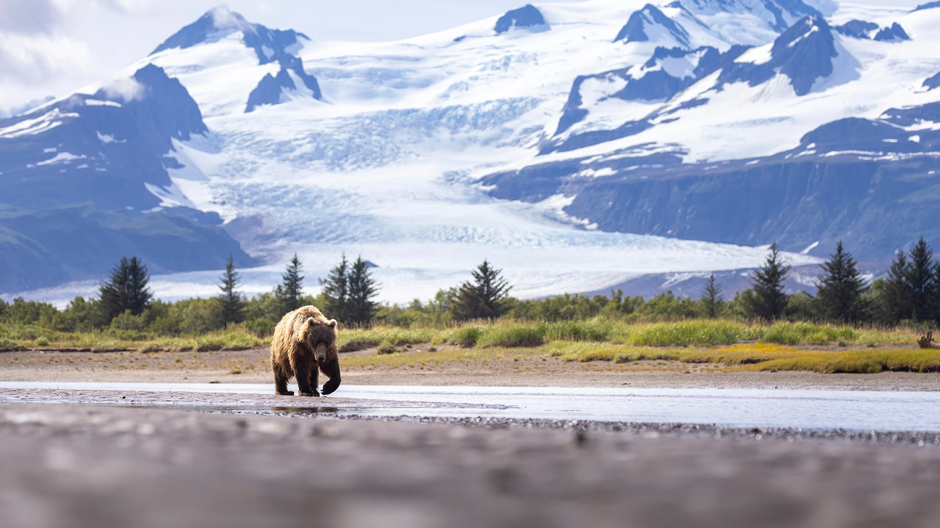 Alaska's Glacier Wilderness with Glacier Bay