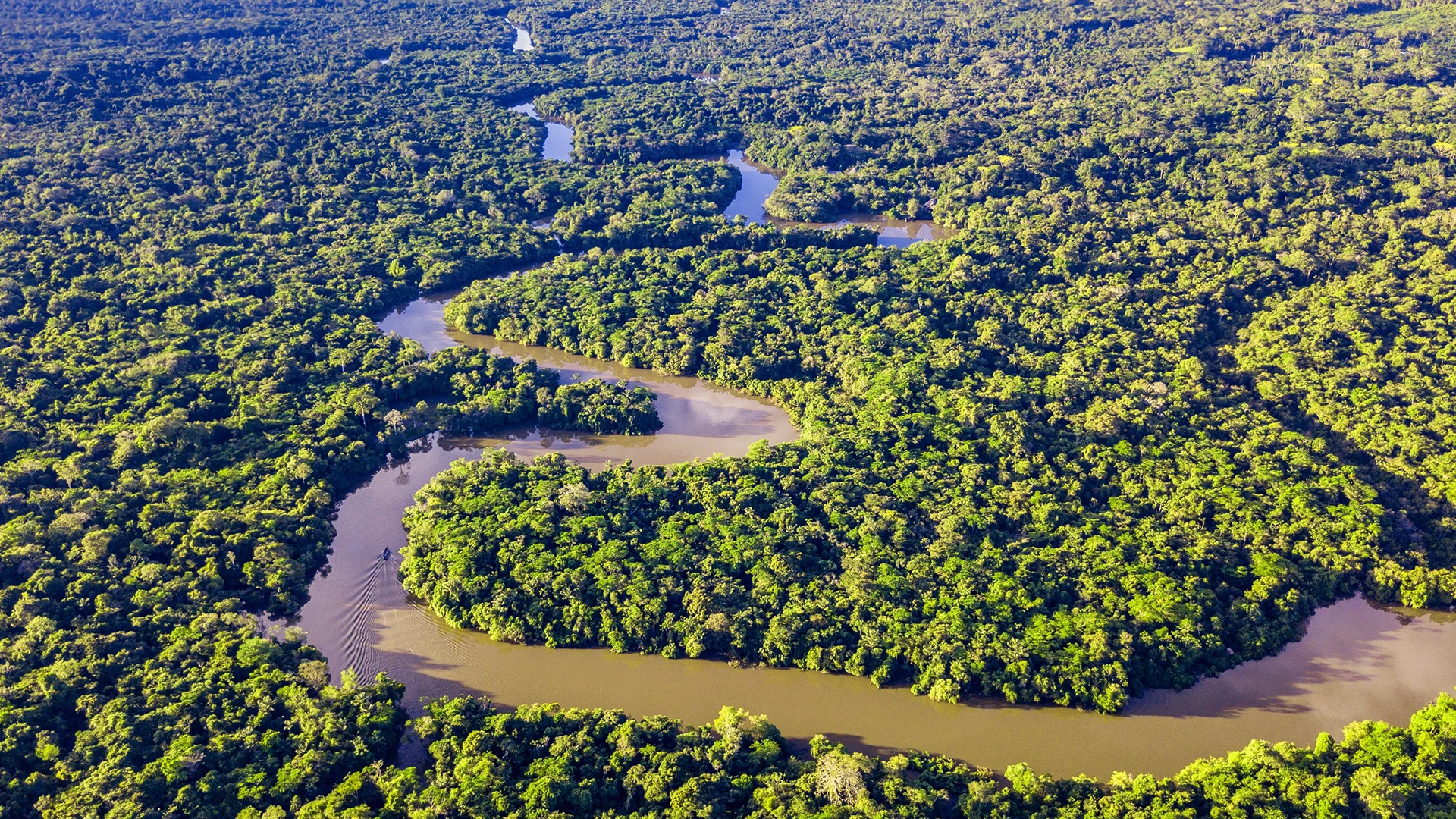 Amazon River Expedition Cruise