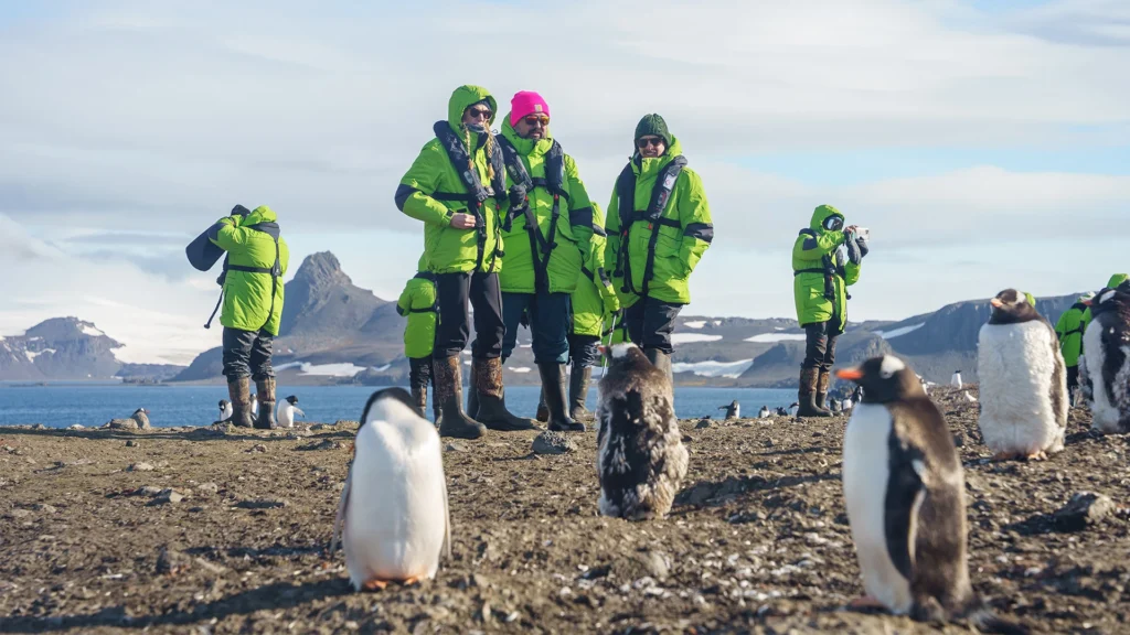 Expedition Cruise vs Land Expedition: Which Is Right for You?