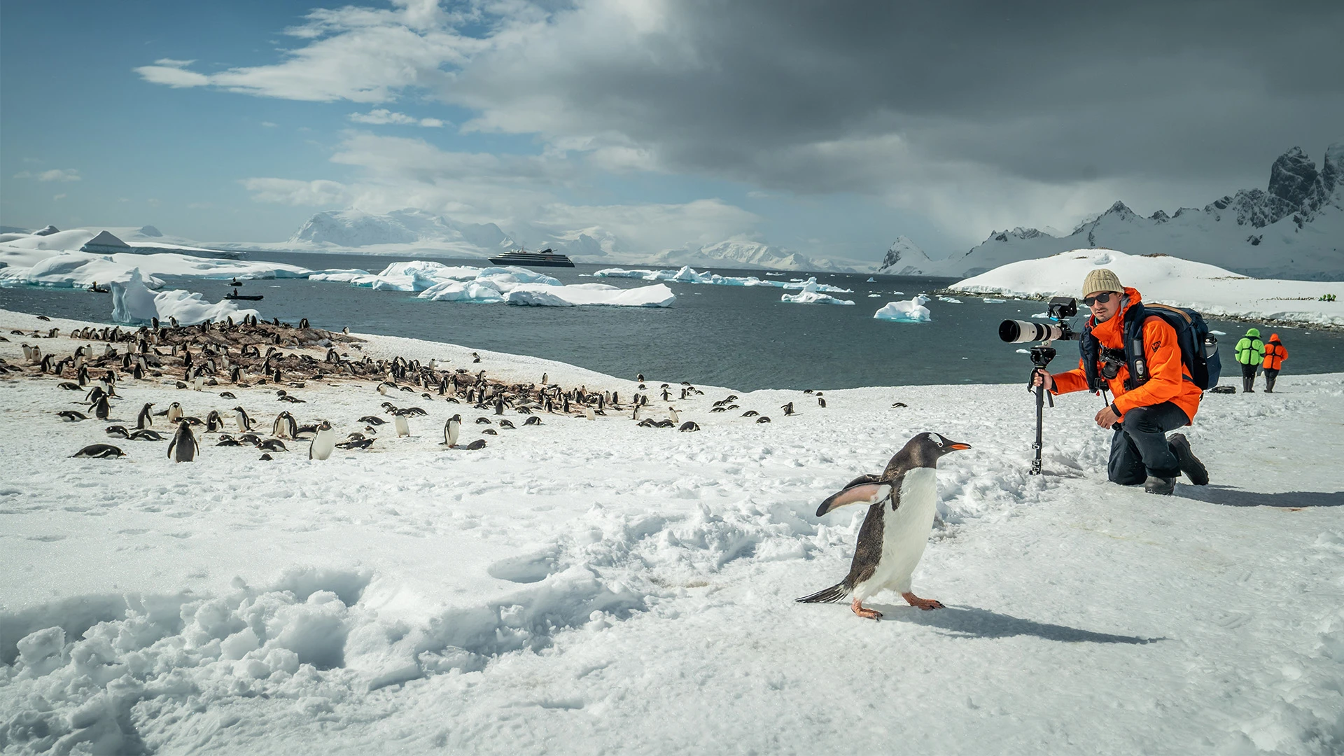 Atlas Ocean Voyages Expedition Cruise to Antarctica with penguins in the background - Expedition Cruise vs Land Expedition Which Is Right for You