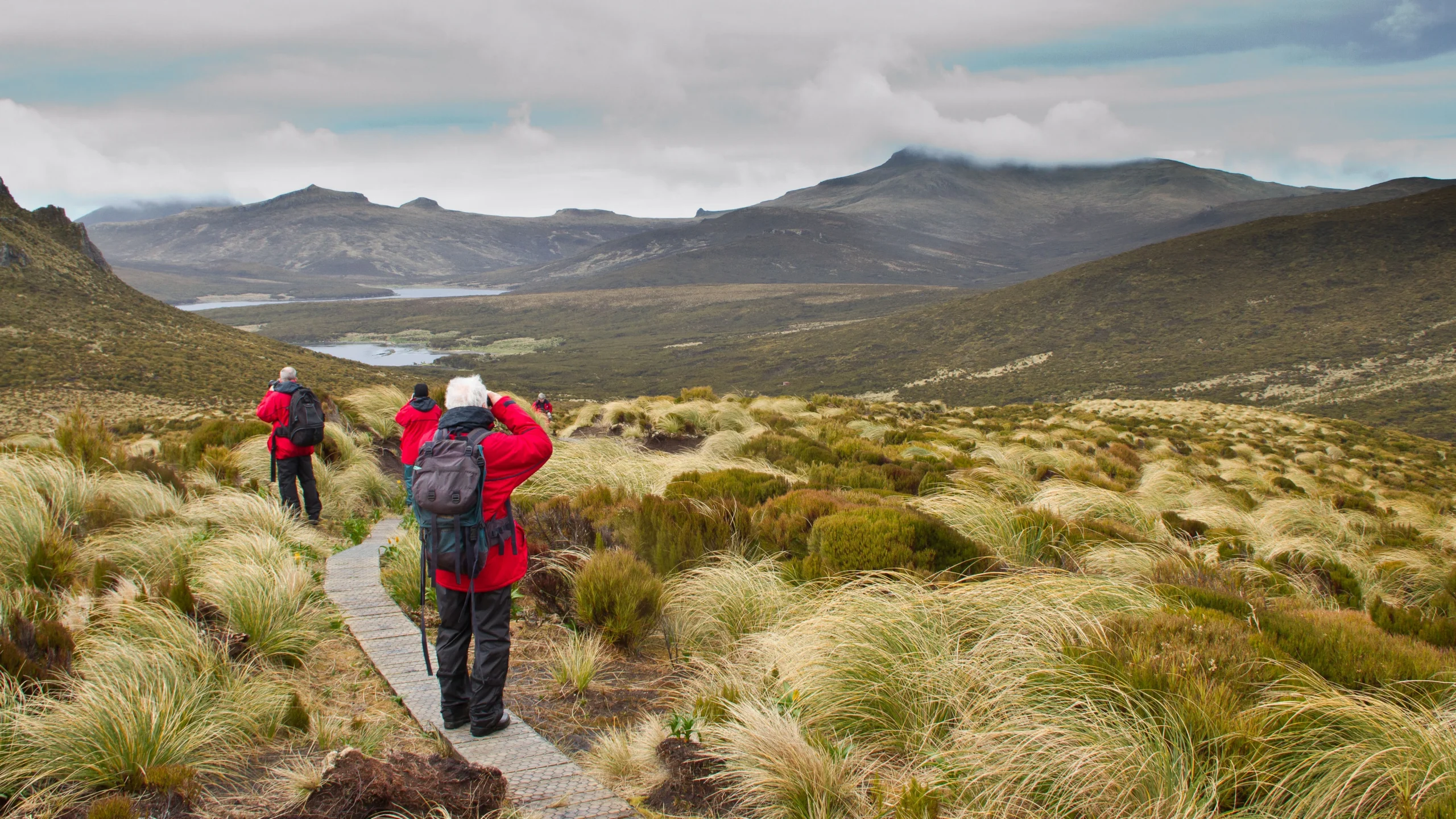 Classic Sub-Antarctic Islands Expedition