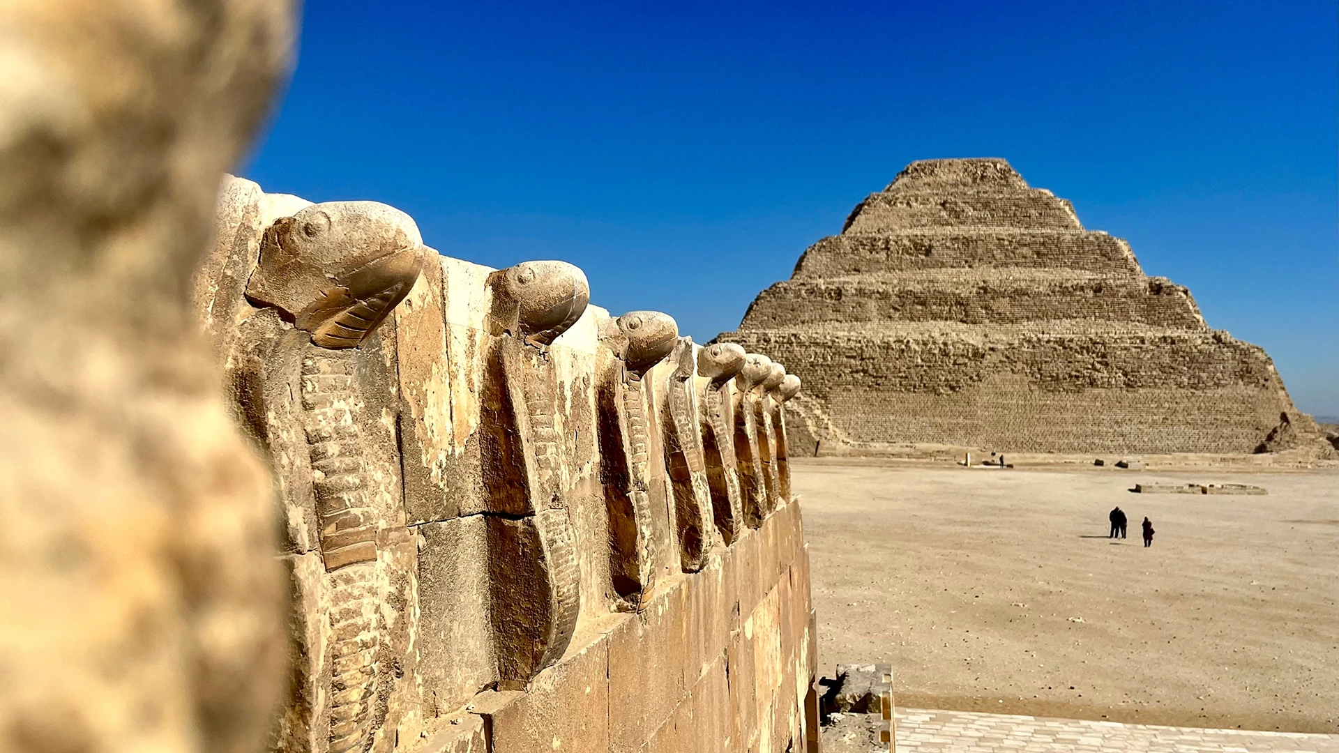 Cobras at the Step Pyramid of Djoser at Saqqara, Egypt