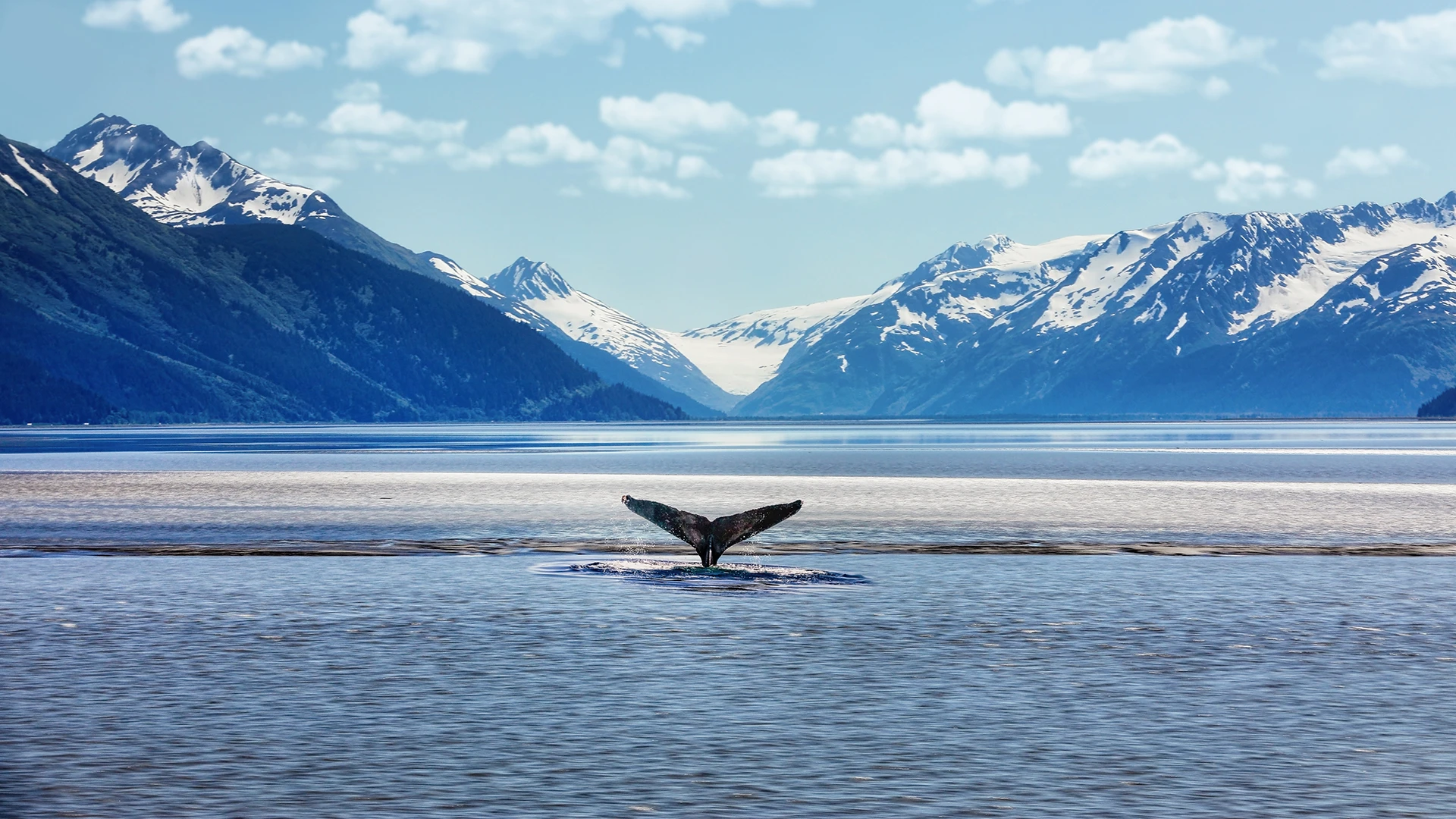 Glacier Bay National Park with Inside Passage and San Juan Islands