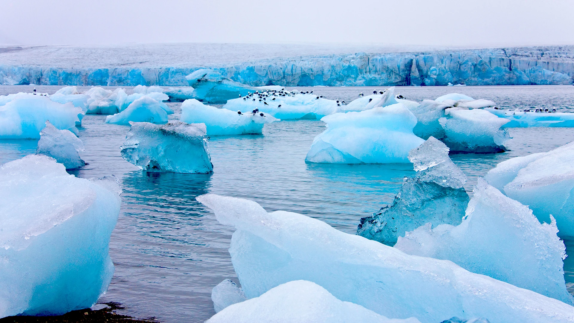 Hornsund, Svalbard