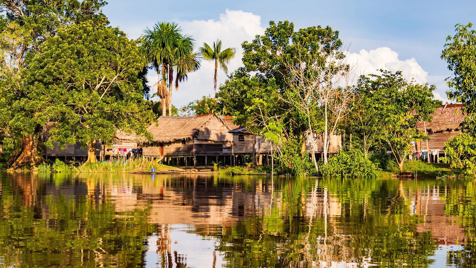 Javari River Peruvian Amazon Peru