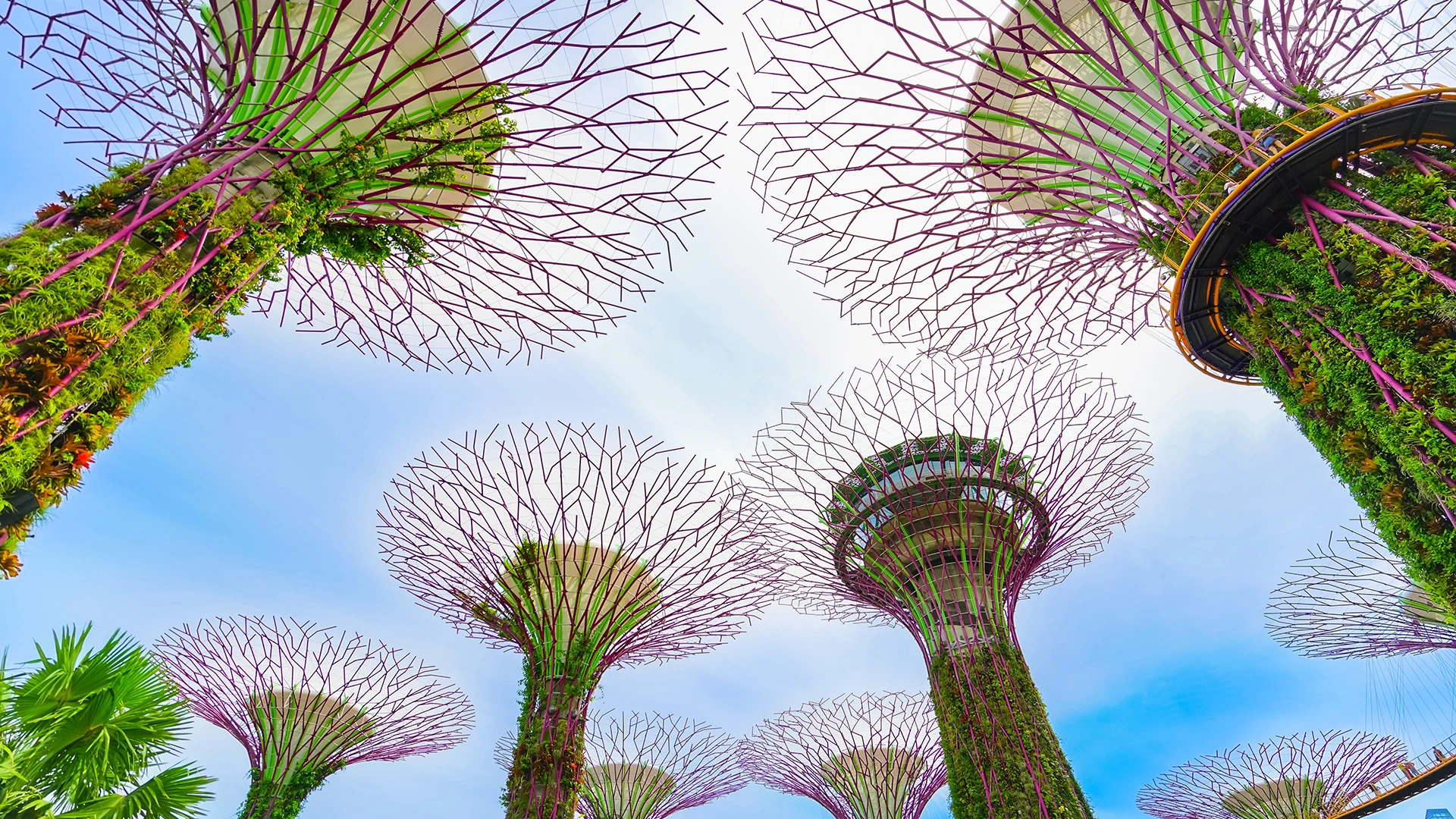 Marina Bay Garden Singapore