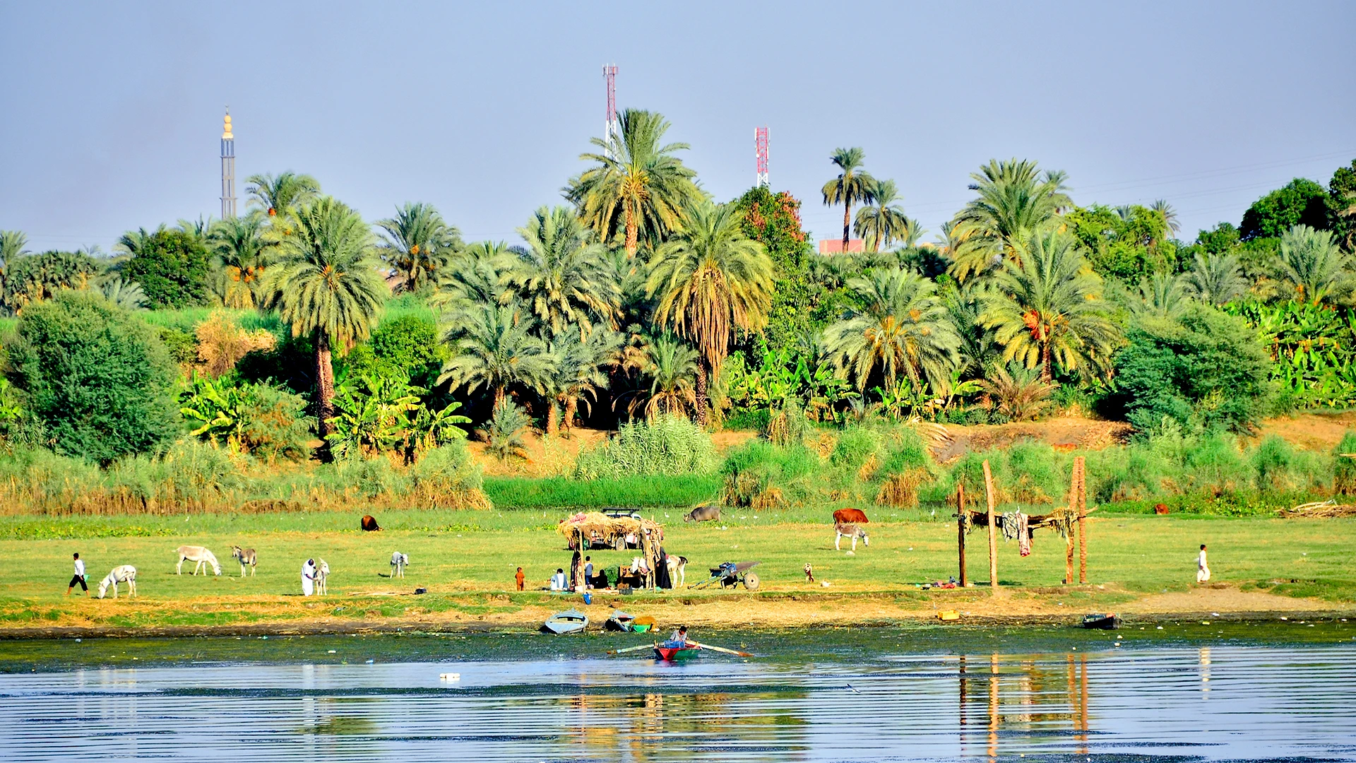 Nile-side life, Egypt