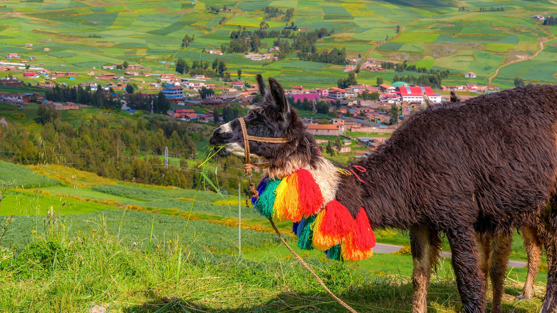 Sacred Valley of the Incas, Peru