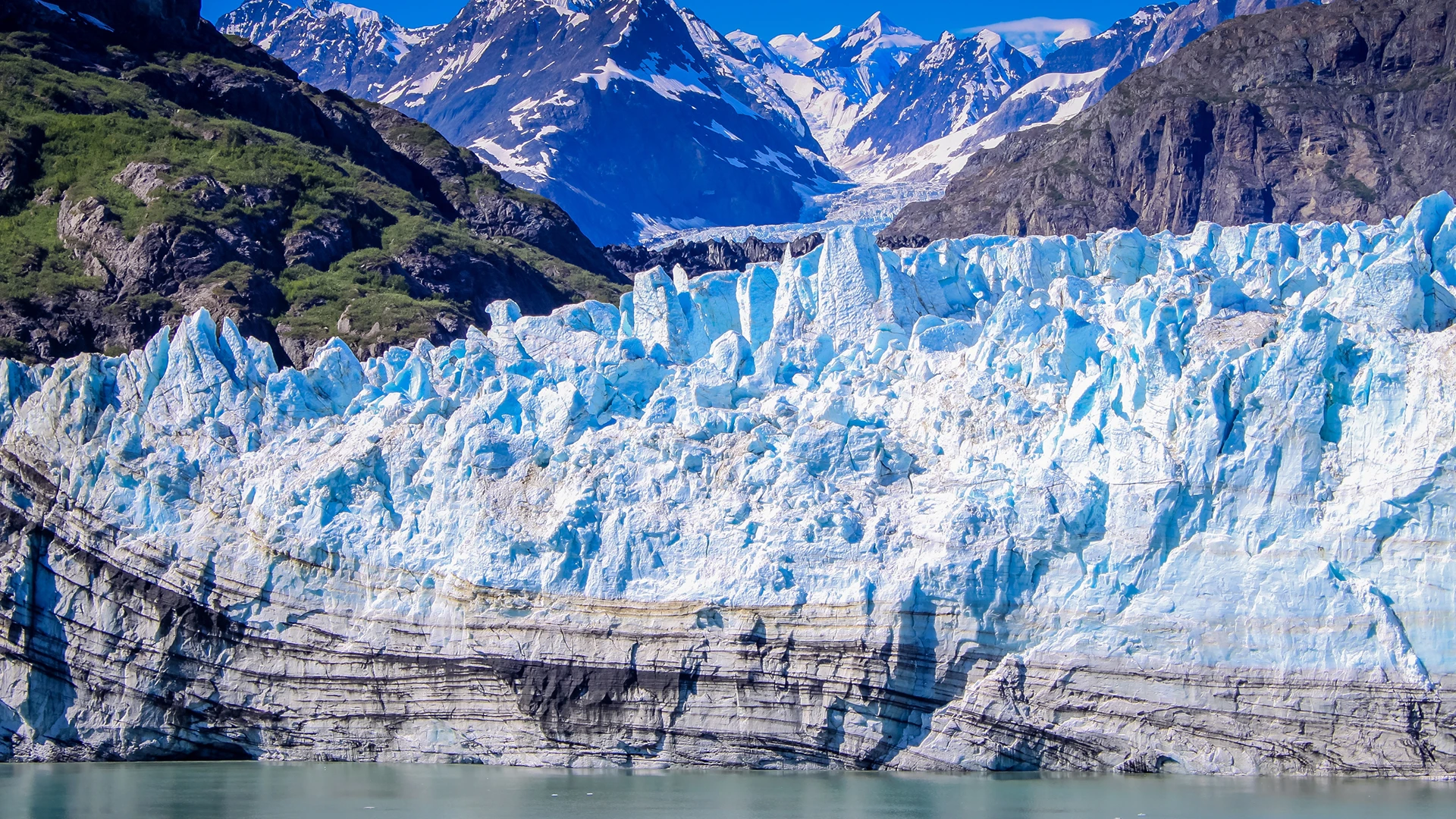 Wild, Woolly and Wow with Glacier Bay