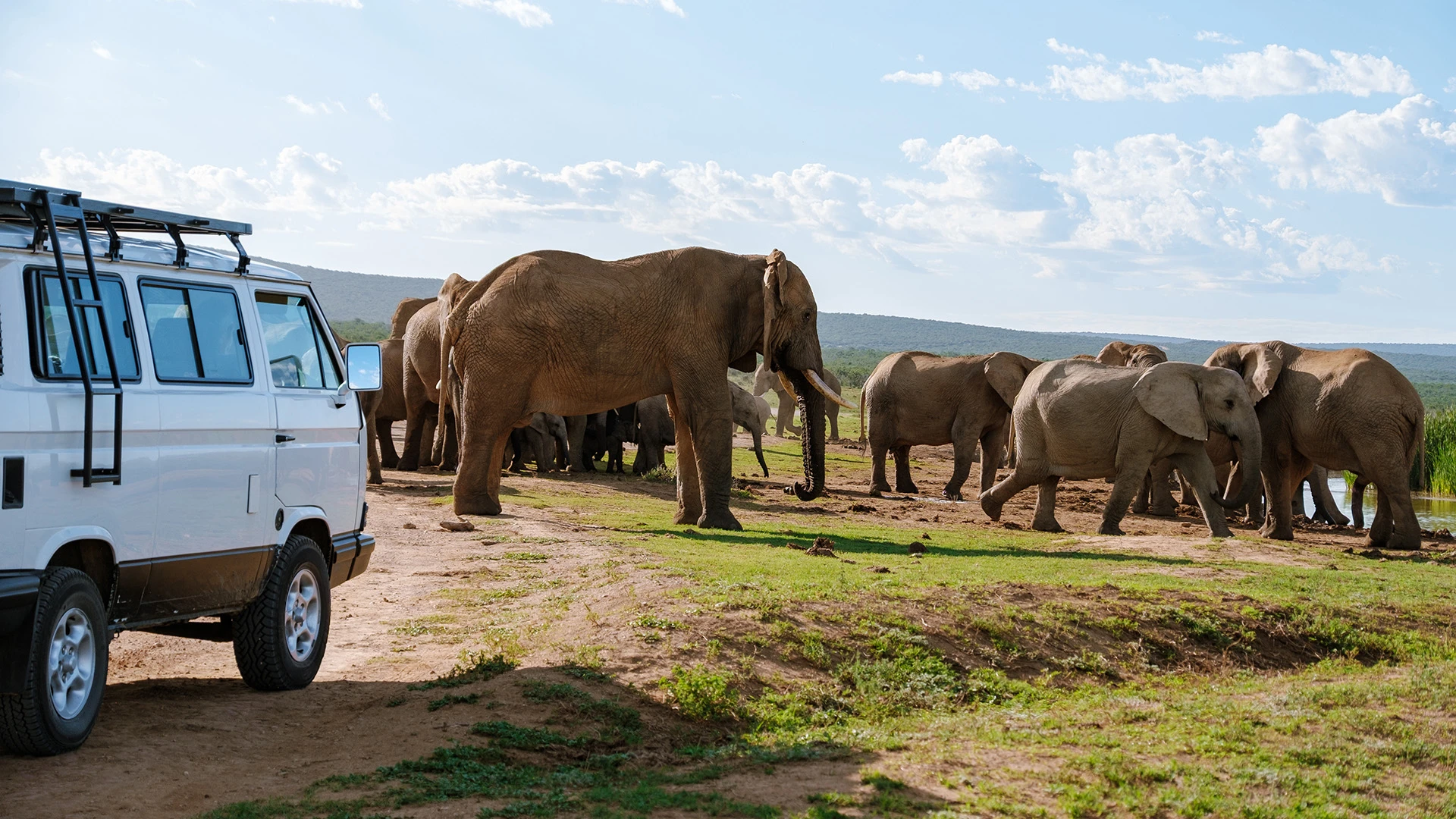 Addo Elephant Park South Africa