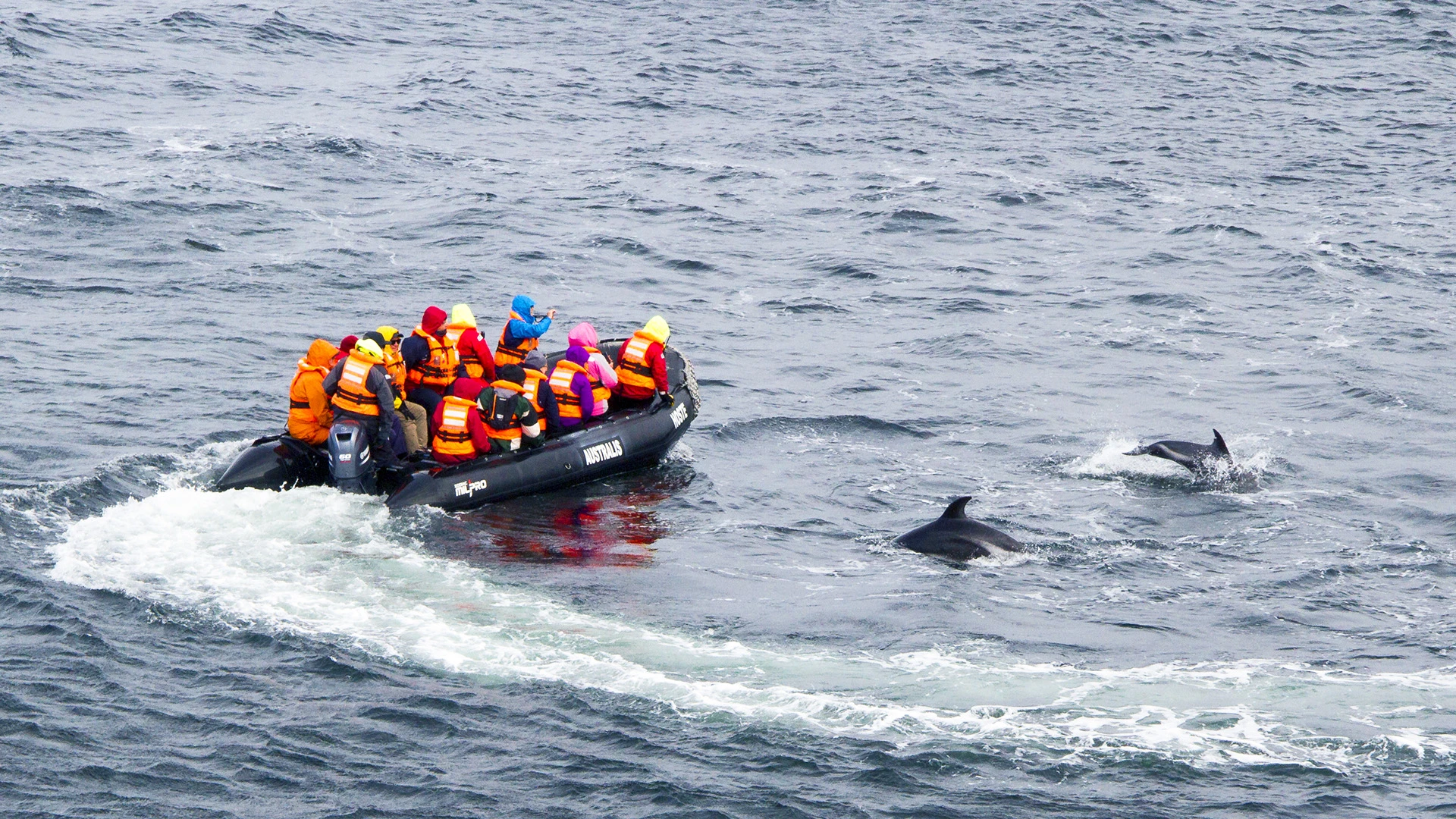 Australis Experience Zodiac
