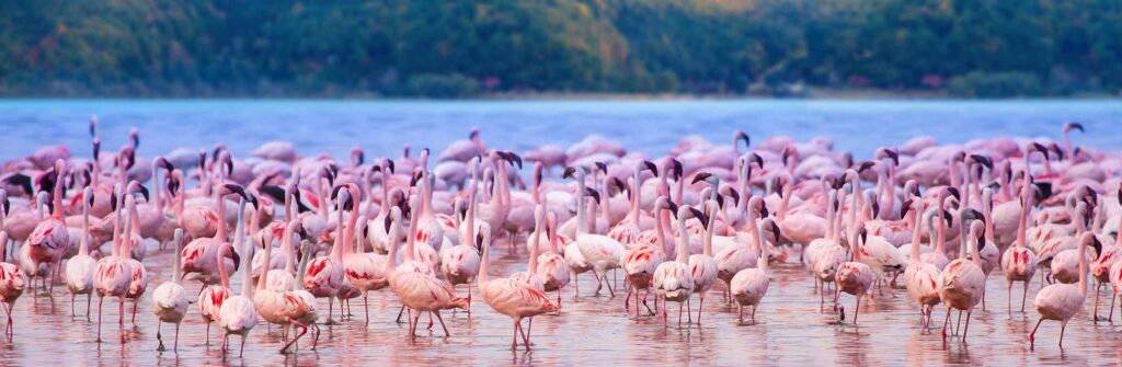 Kenya’s Natural Attractions