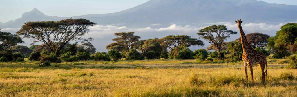 Top Things to Do in Uganda