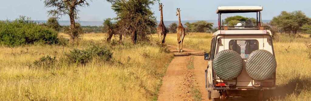 Best Time to Visit Kenya