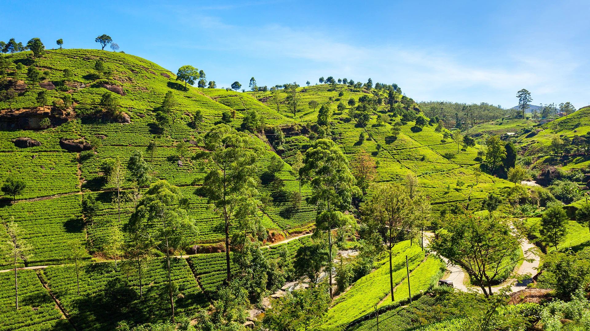 Hatton & Nuwara Eliya
