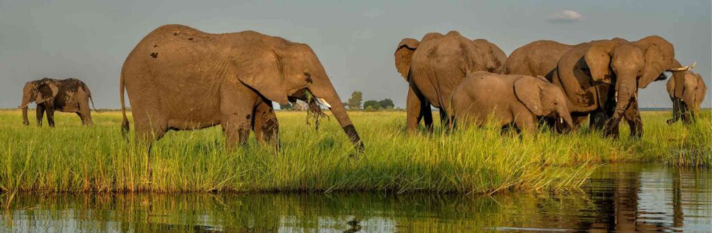 Botswana Attractions Guide