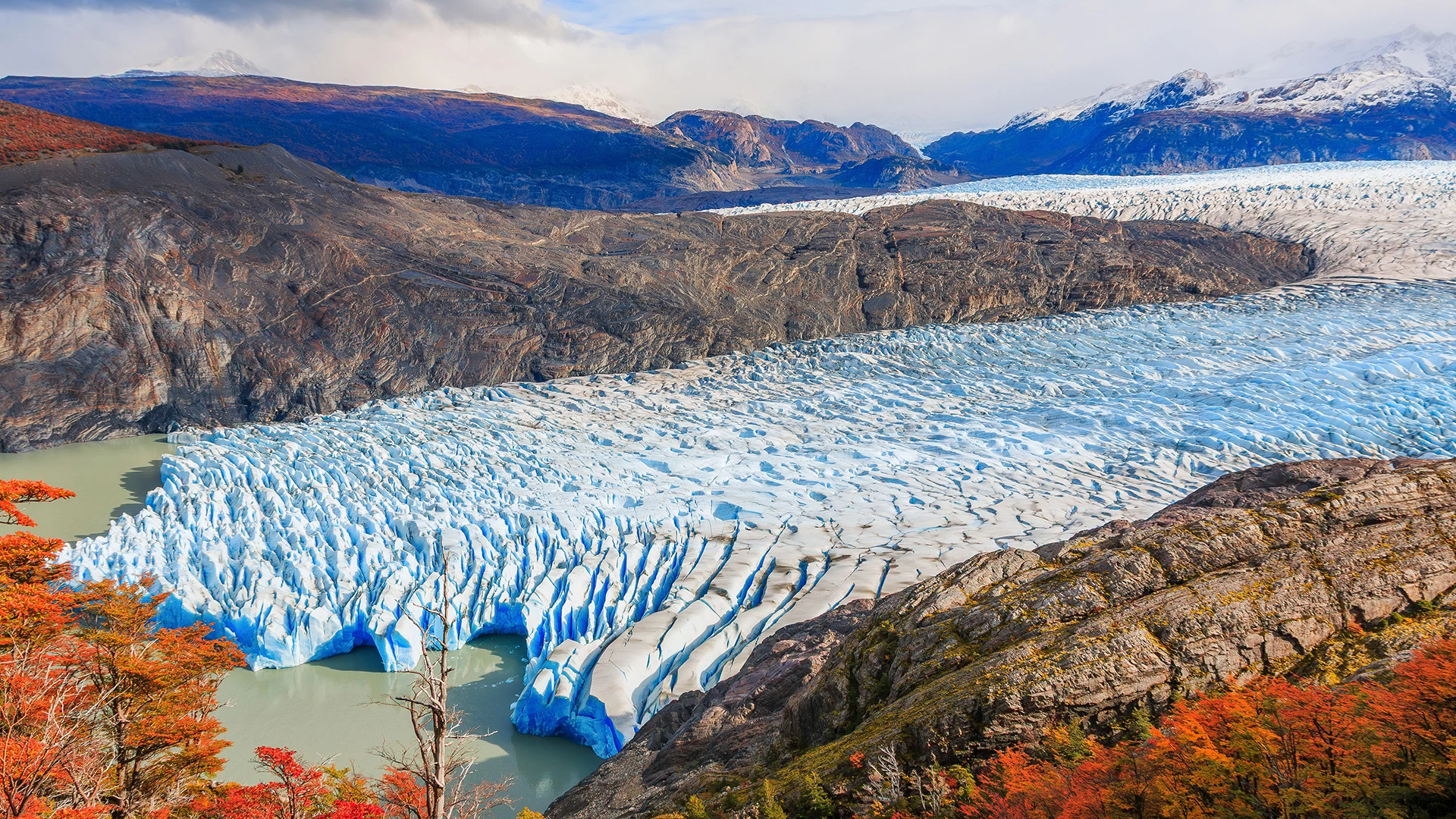 Grey Glacier