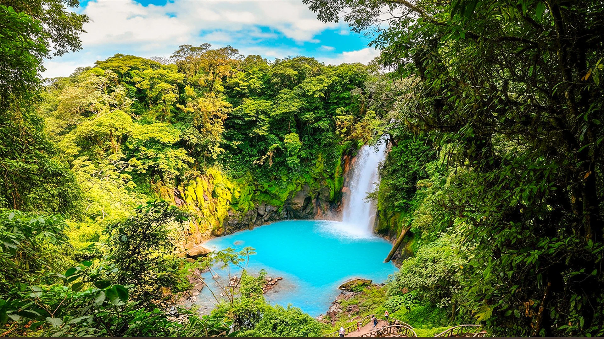 Rainforests and Voyages: Costa Rica to Panama