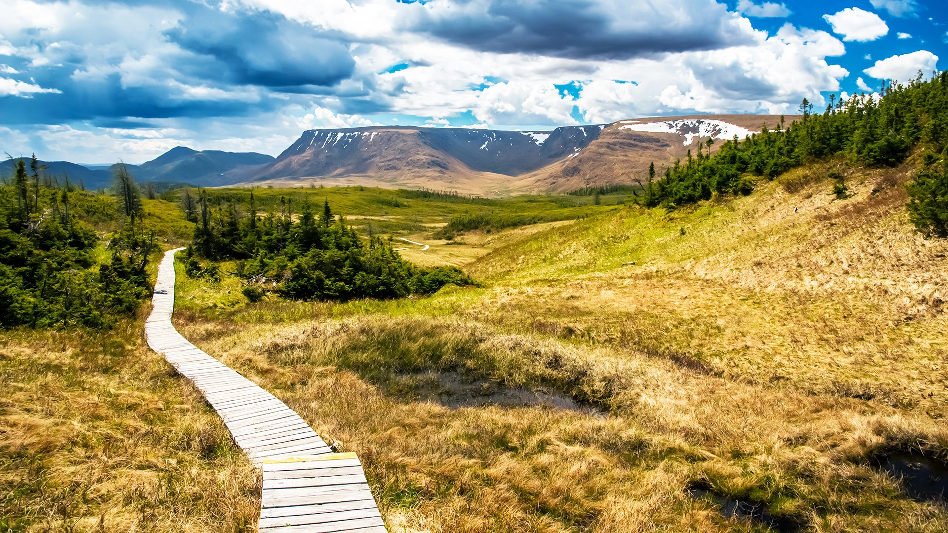 Classic North Atlantic Expedition Cruise: Iceland, Greenland